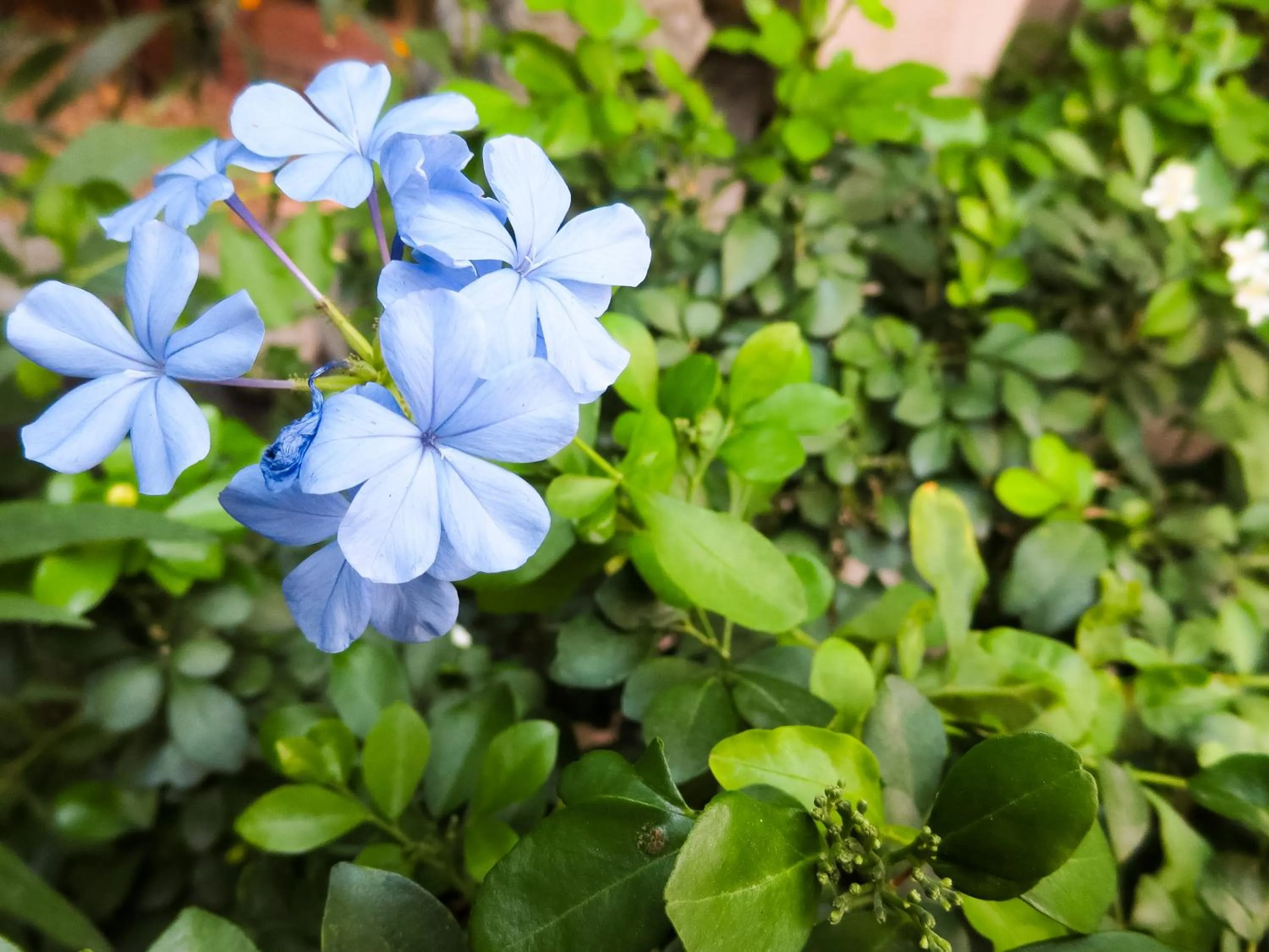 Property building in Baansilom Soi 3