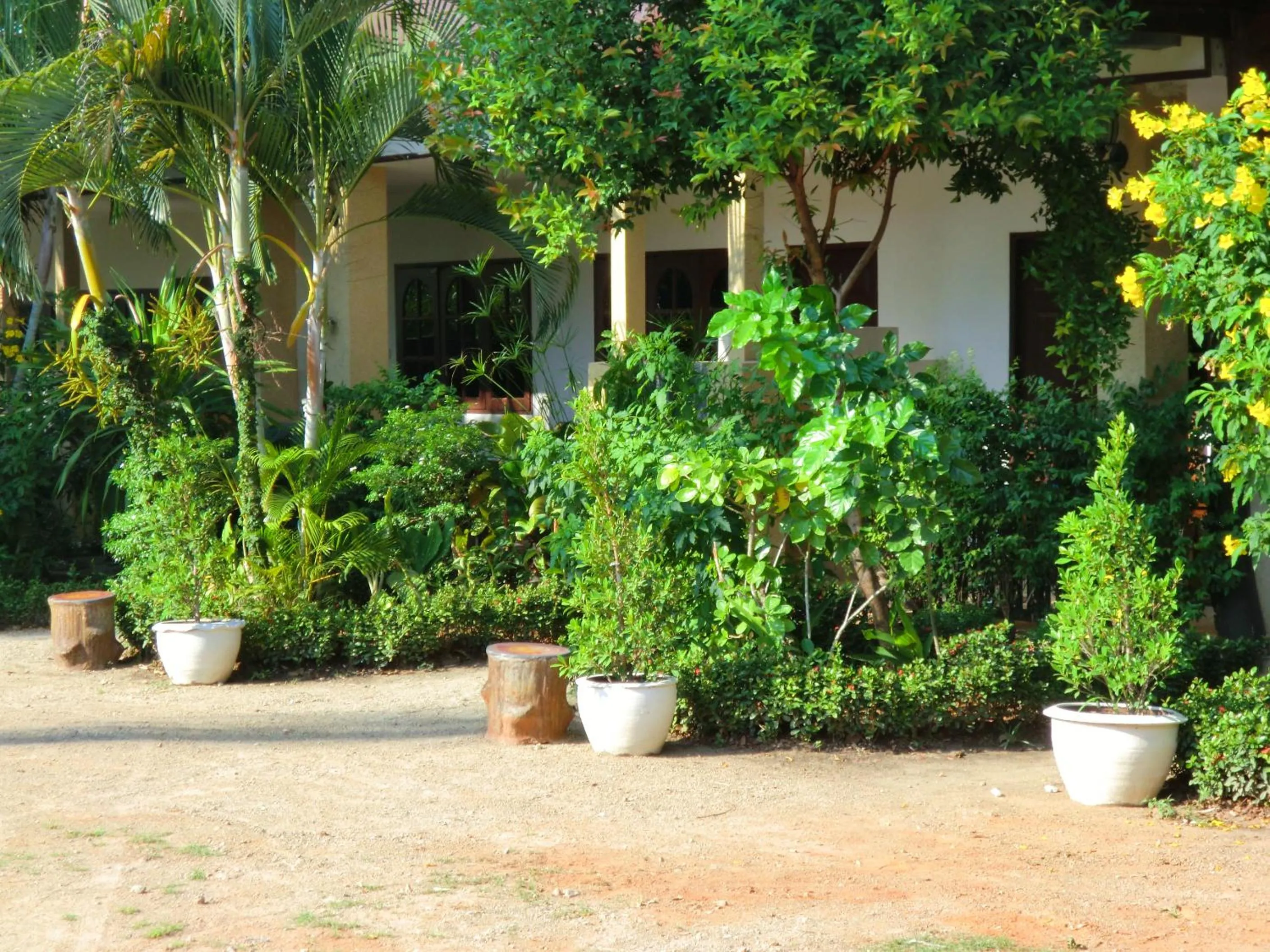Garden in The Krabi Forest Homestay