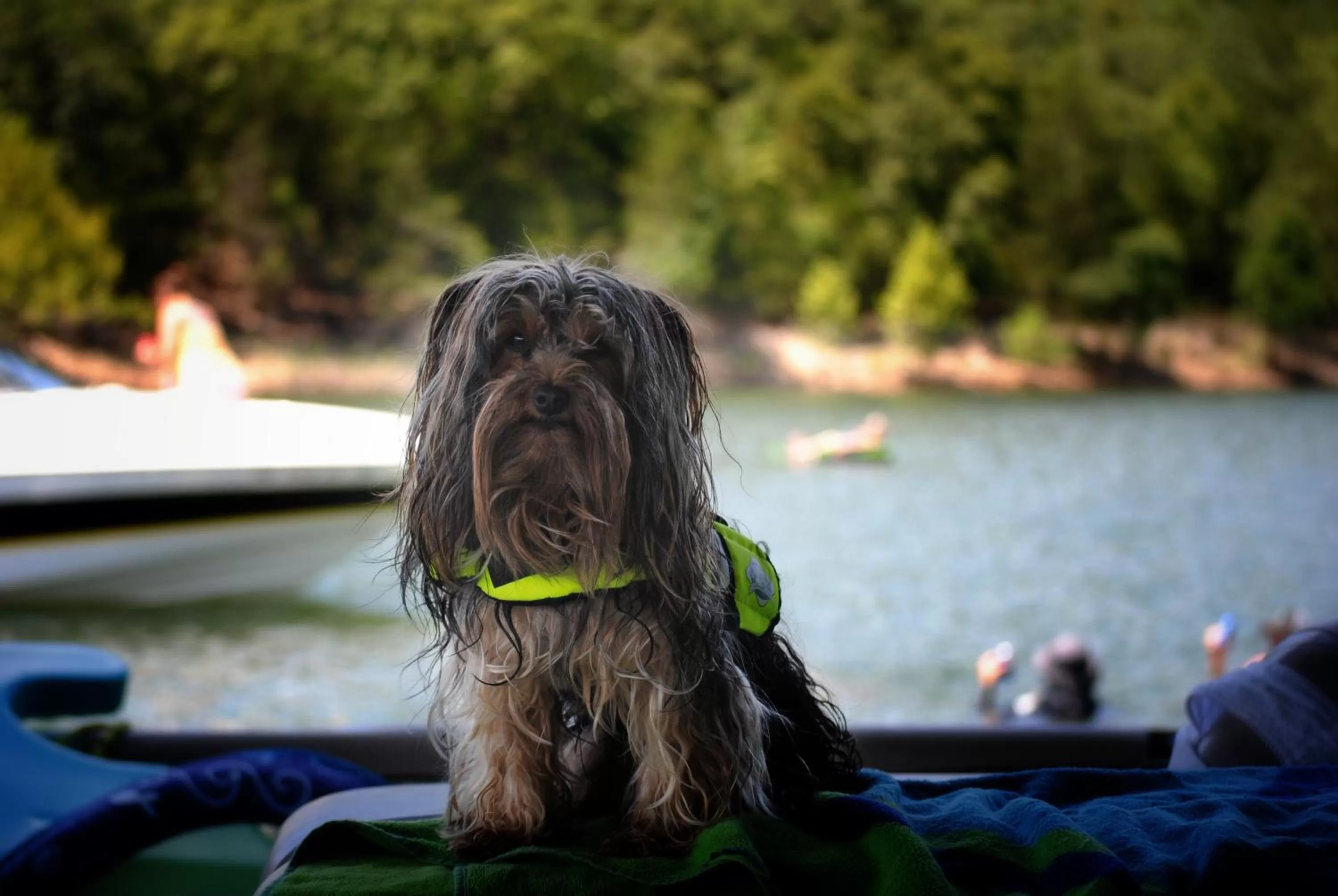 Spring in Calm Waters Resort