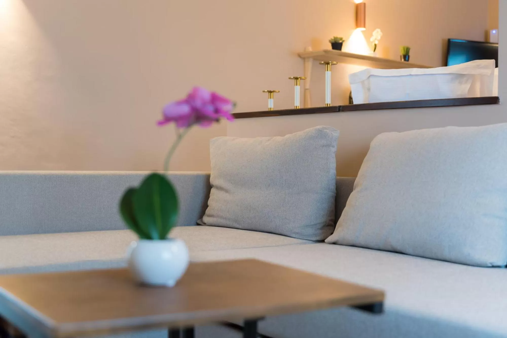 Living room in Hôtel Imperi'Ale