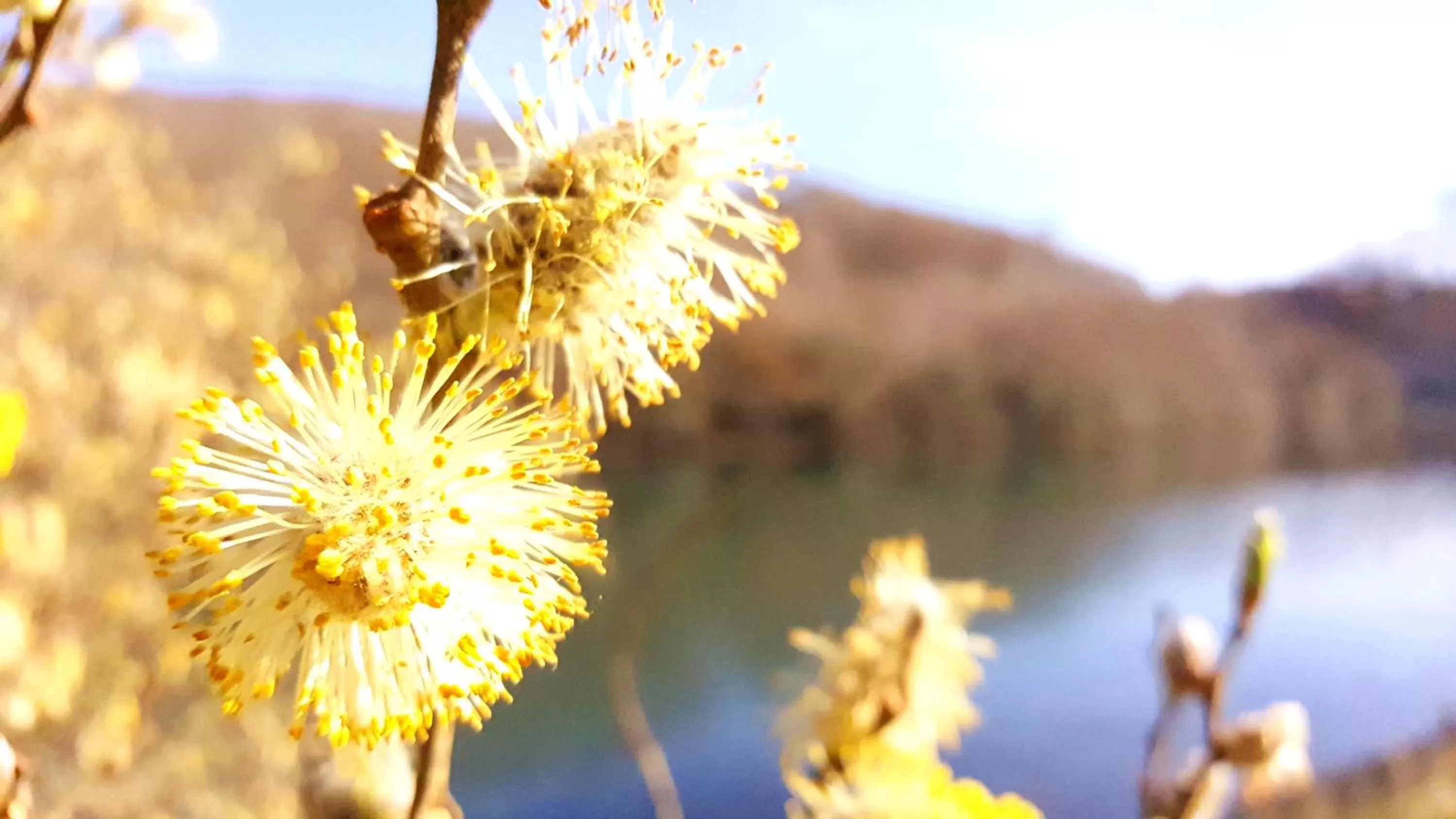 Natural landscape, Other Animals in Schooner Point Guest House