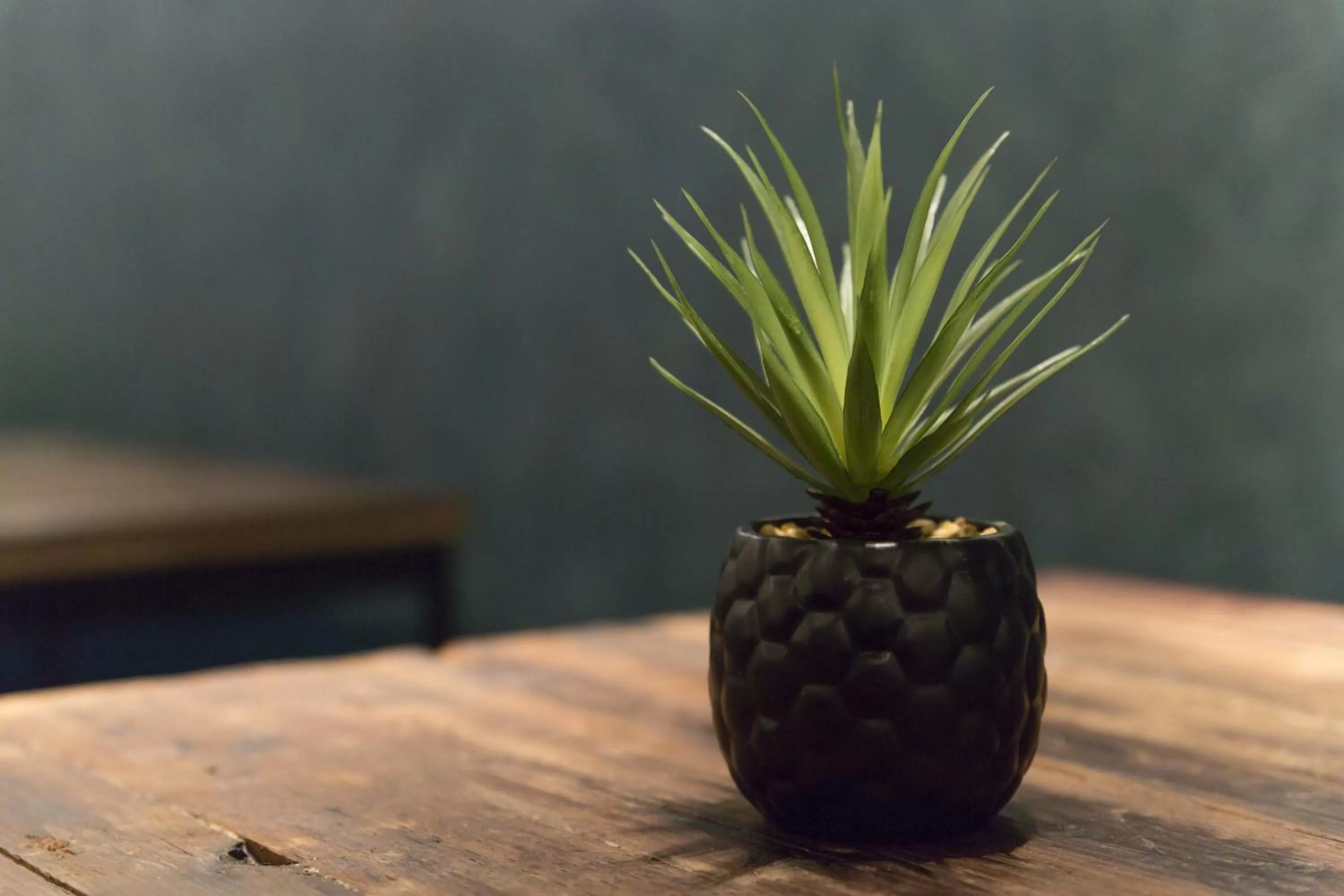 Other in Petit Palace Canalejas Sevilla