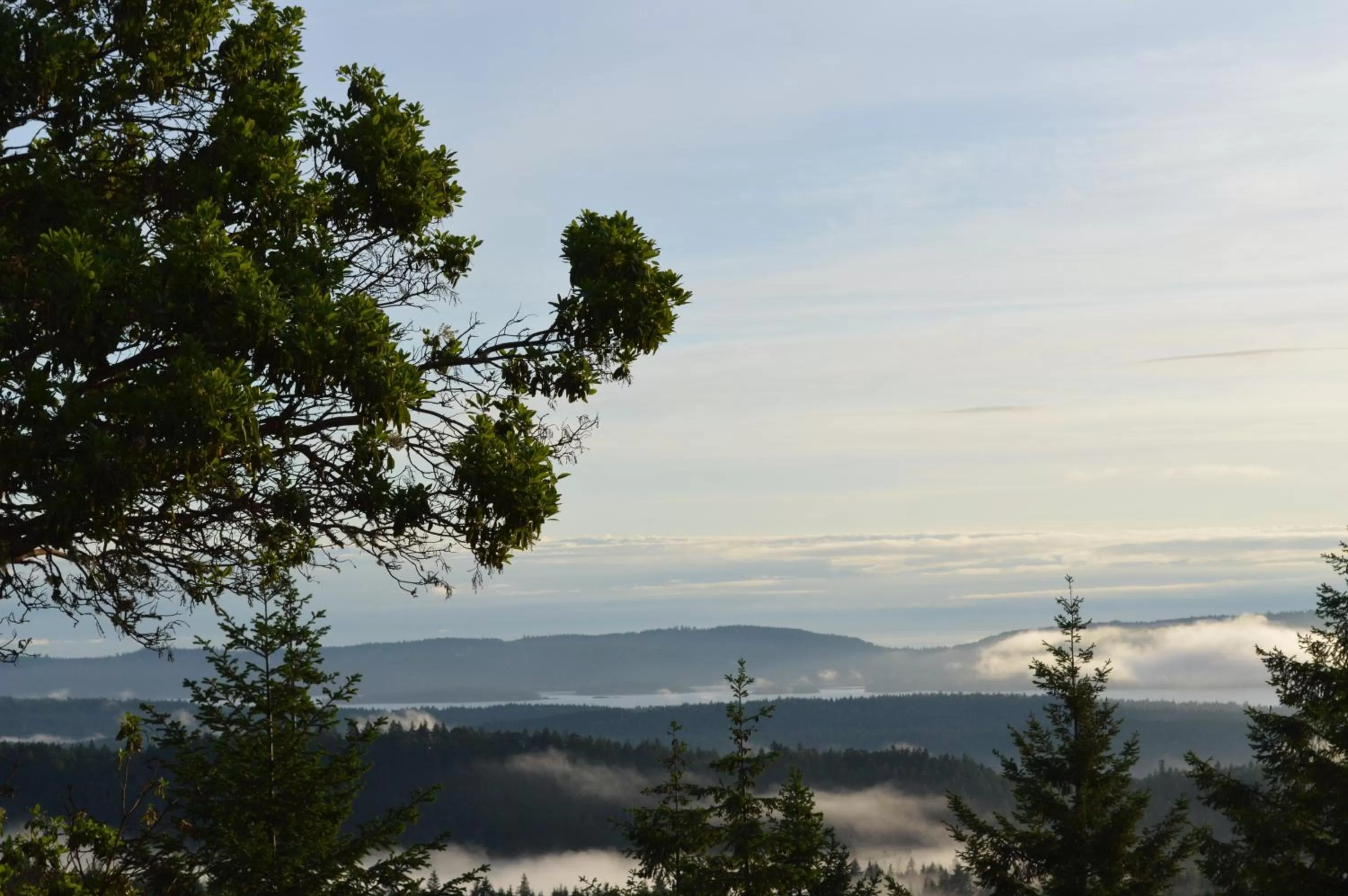 Mountain view in Armand Heights
