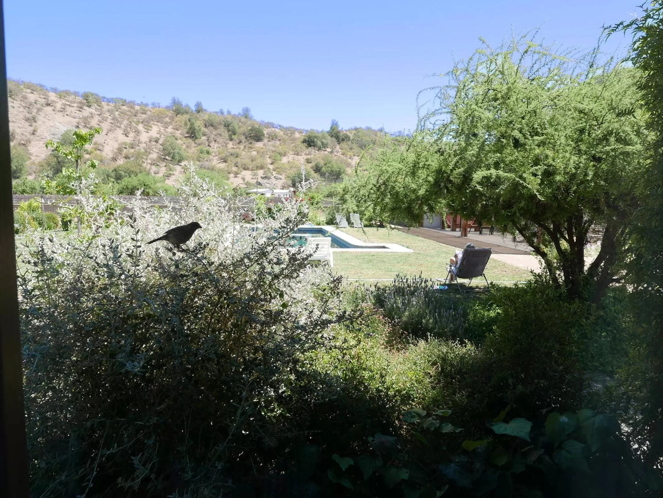 Garden in Callihue Lodge
