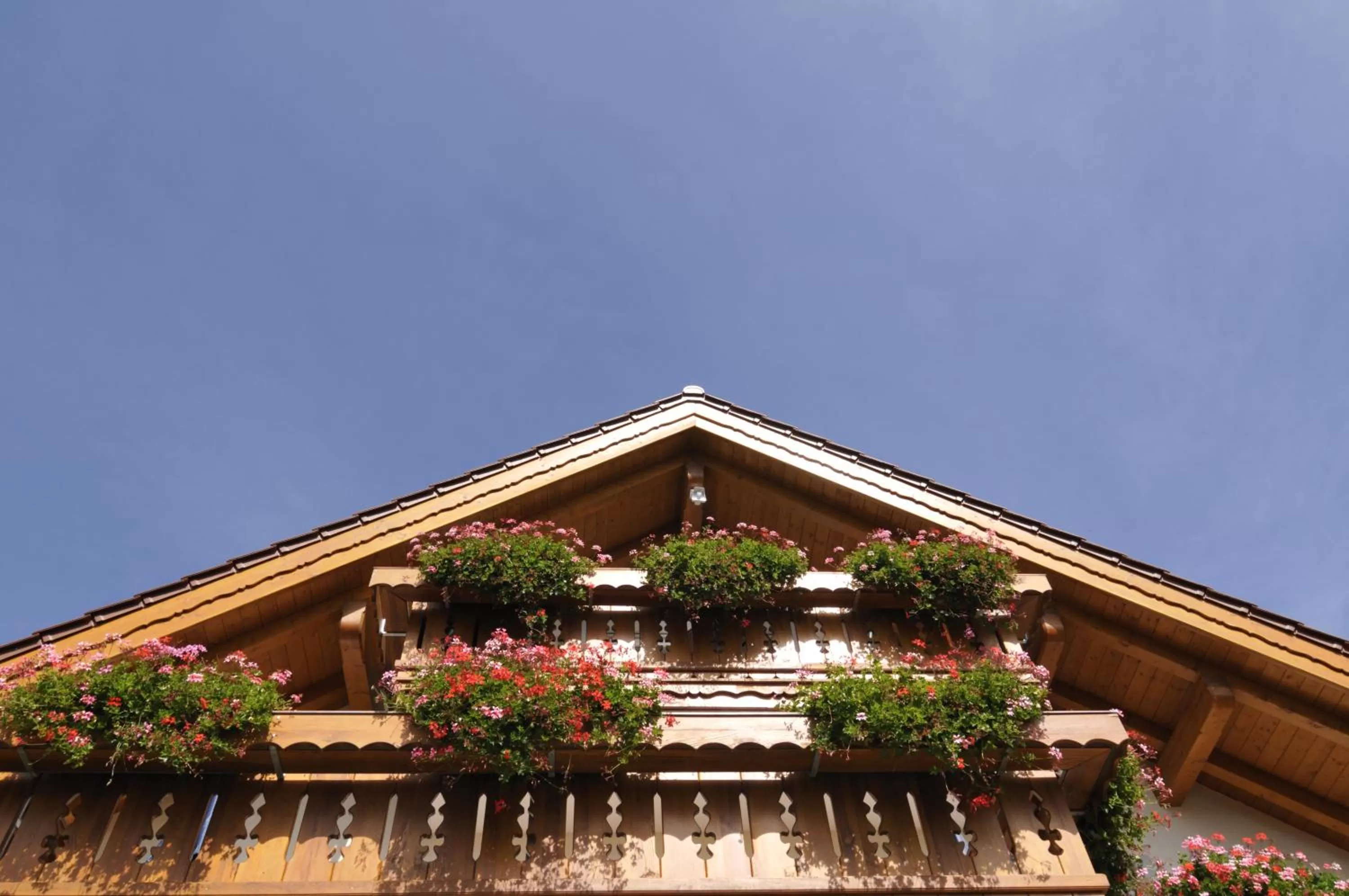 Property building in Boutique Hotel Angerer