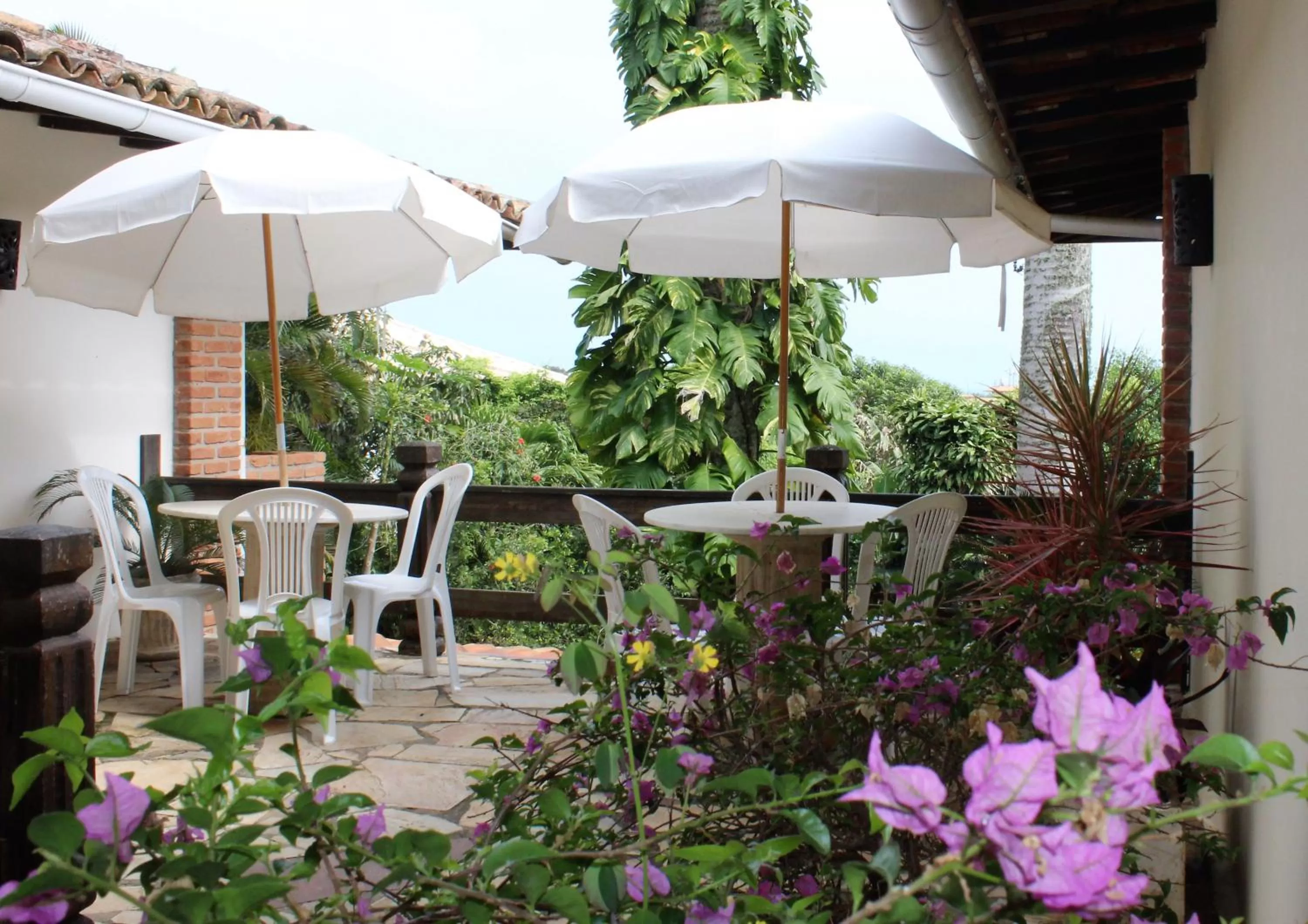 Garden in Pousada Afrika