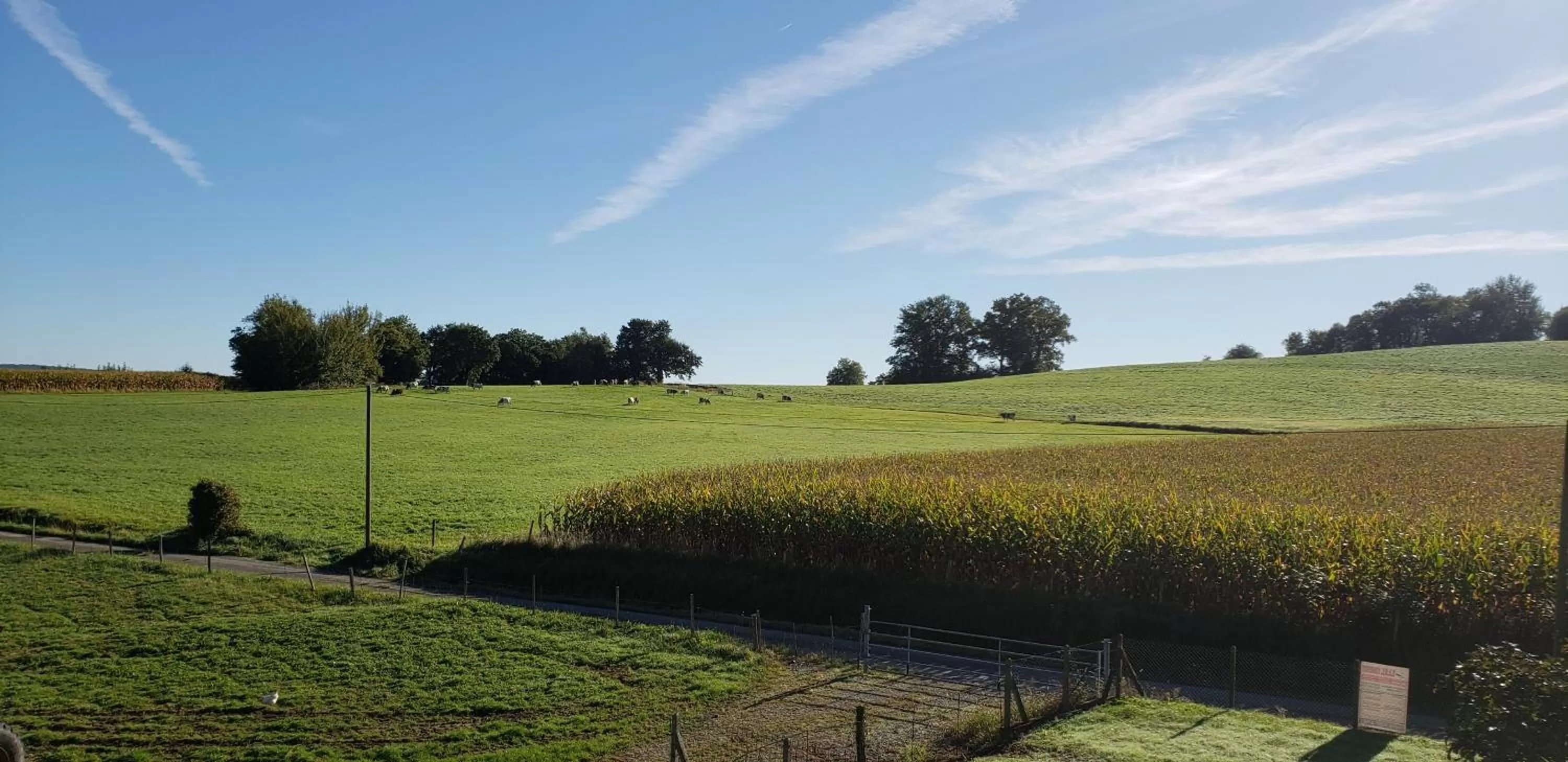 Natural landscape in Ferme Peyroutet