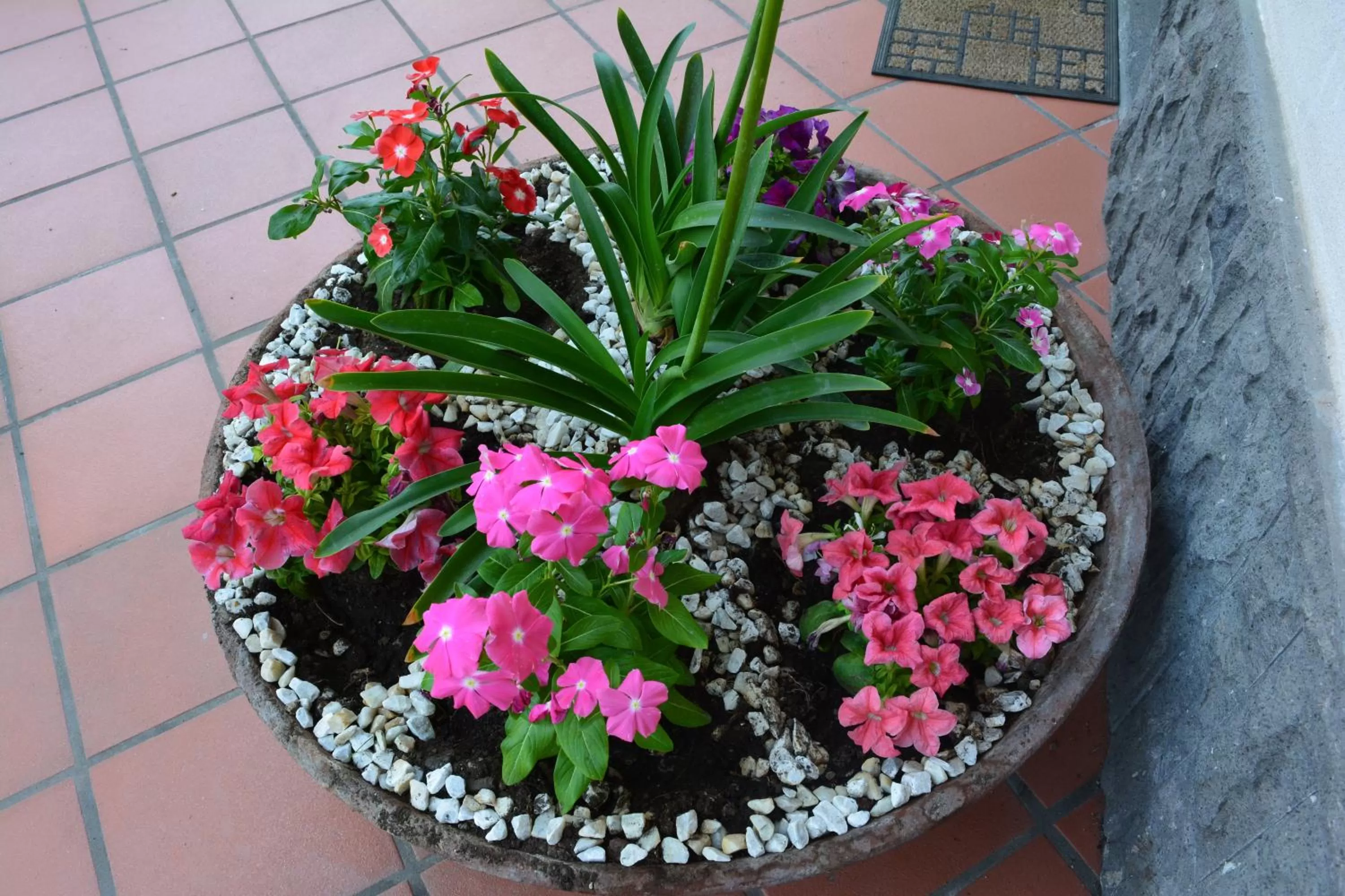 Balcony/Terrace in B&B Casa Di Mari