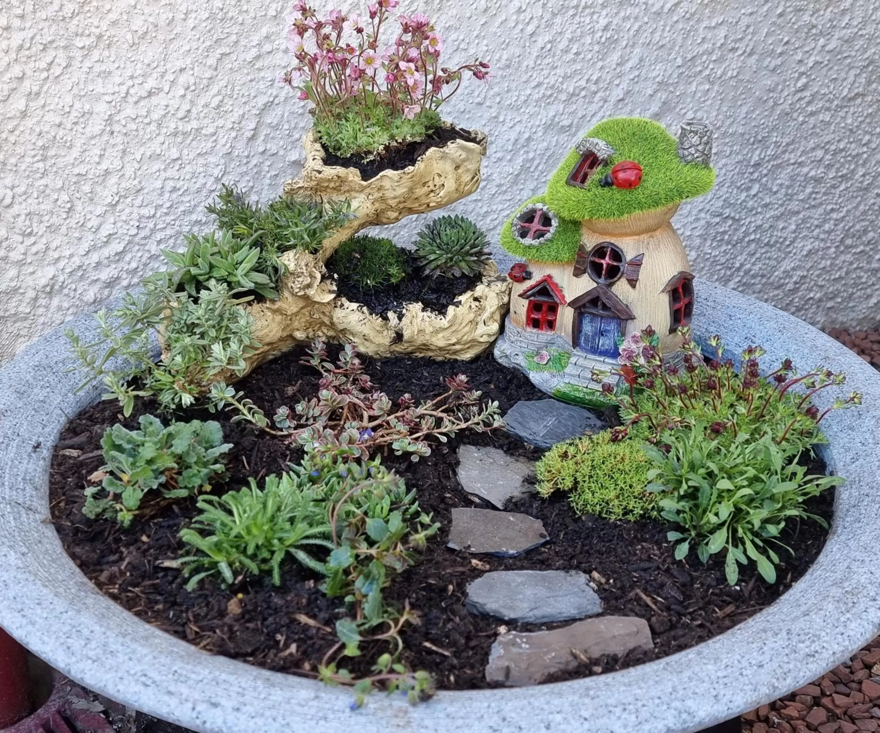 Garden in St Leonards Guest House