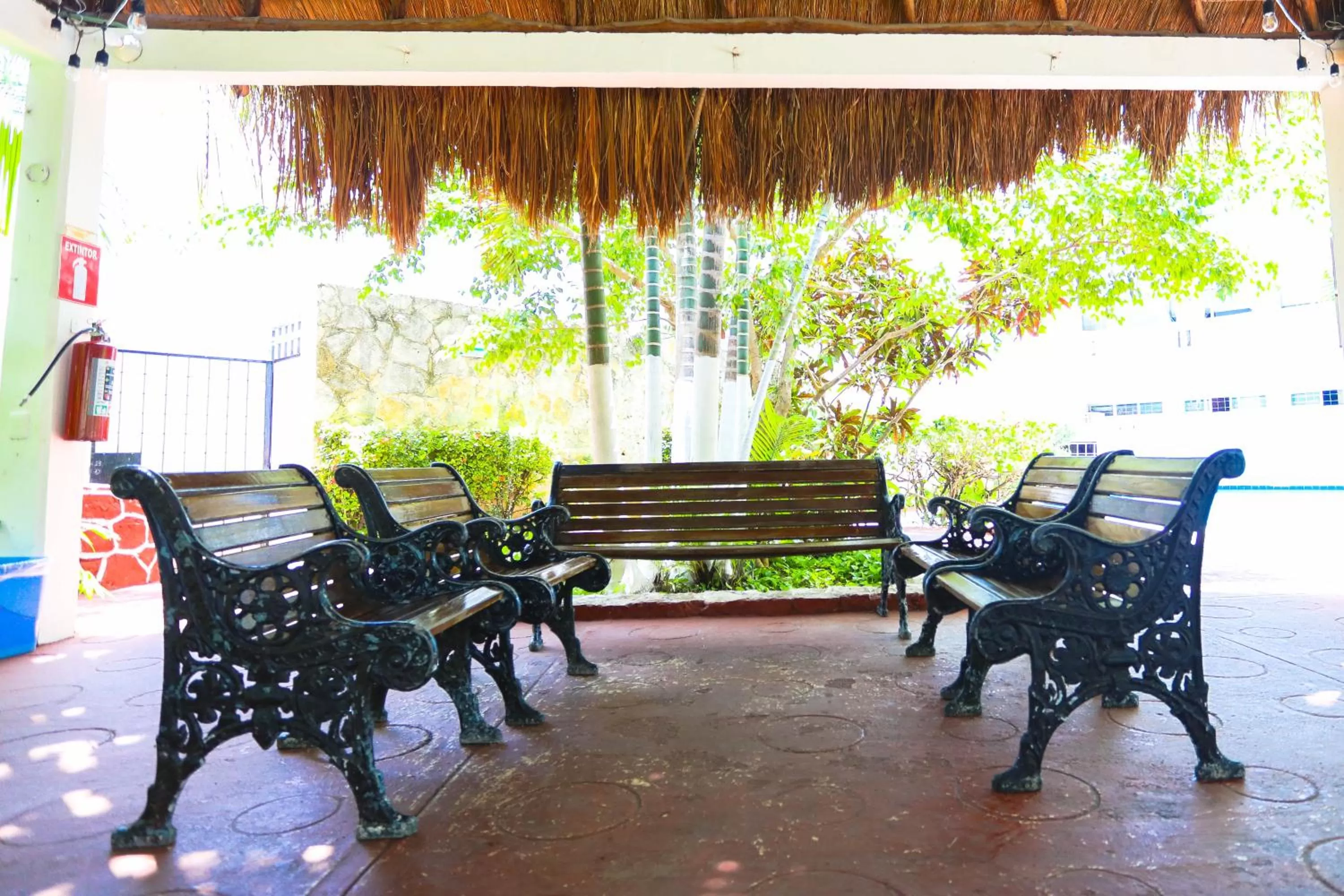 Garden in Hotel Caribe Internacional Cancun