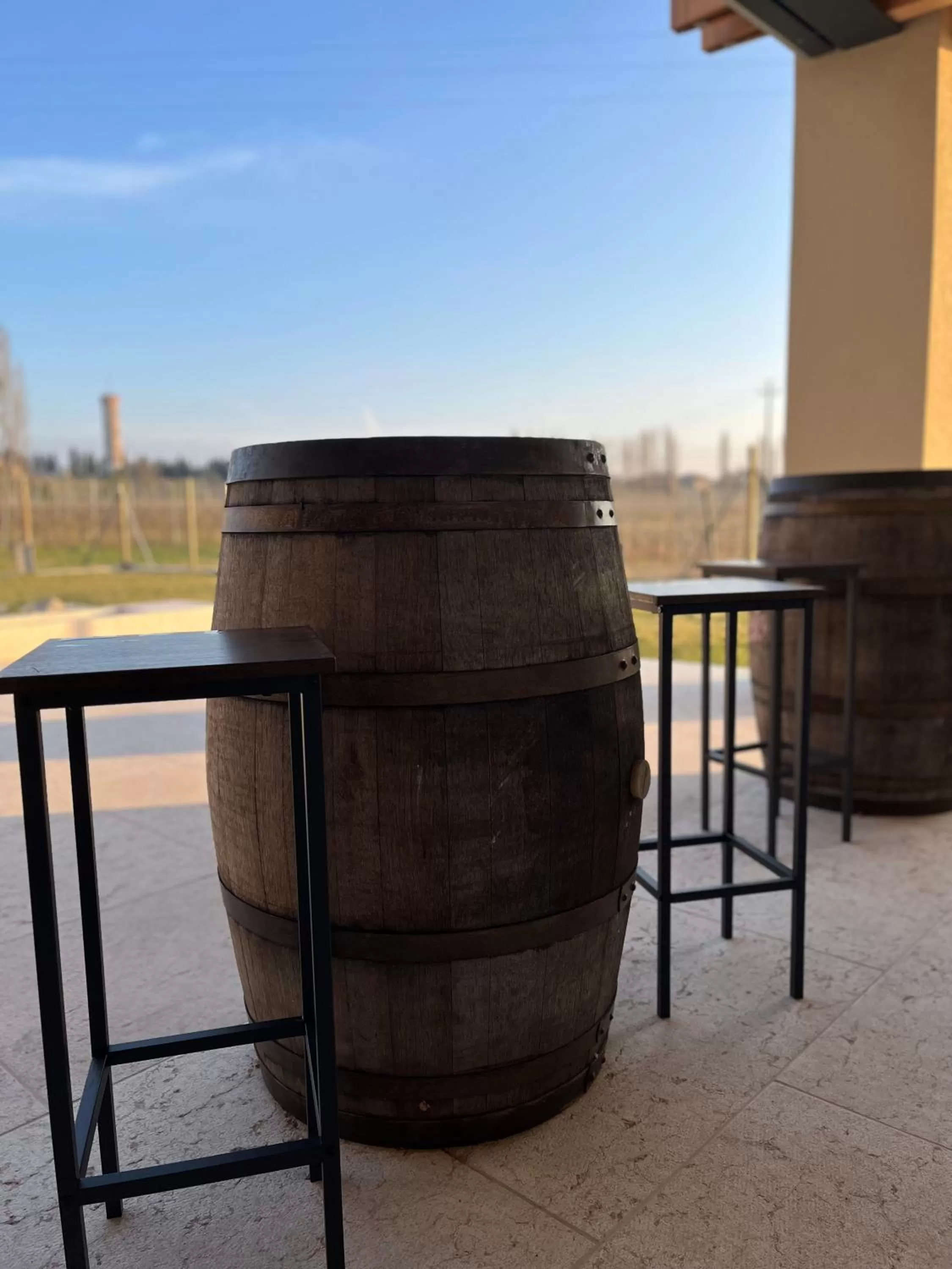 Garden in Il Vigneto