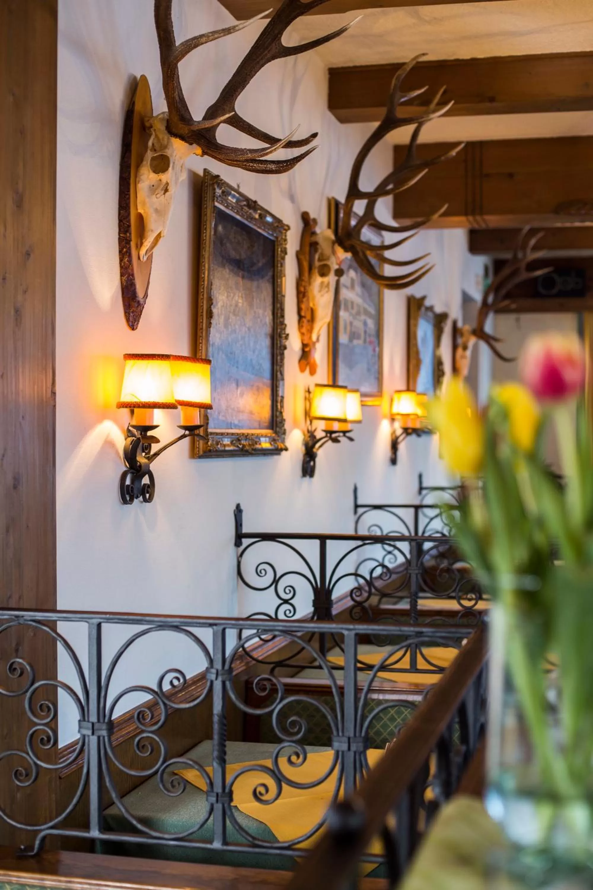 Area and facilities in Metzgerwirt Vieh Heli