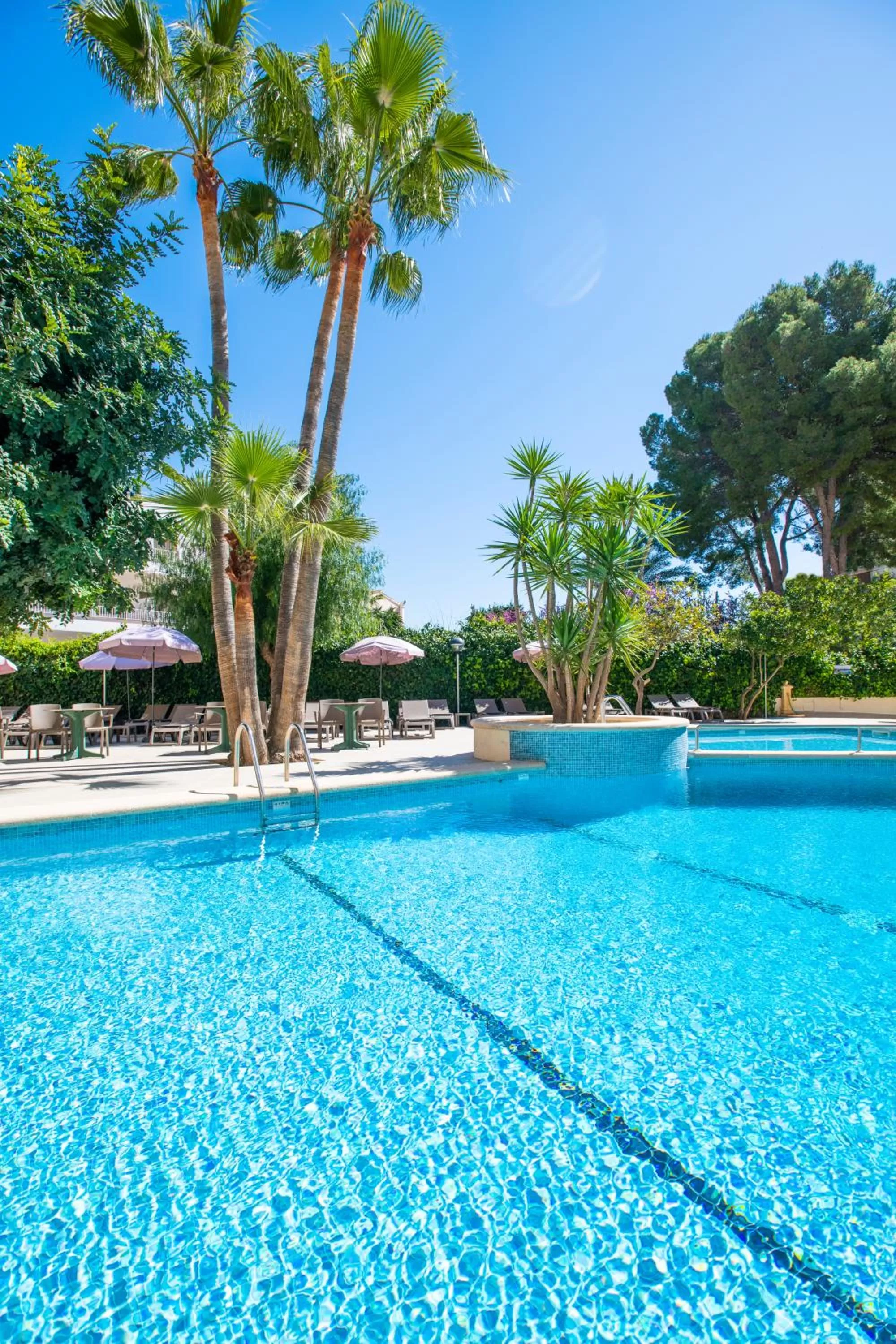 Swimming pool in FLOR los Almendros Hotel