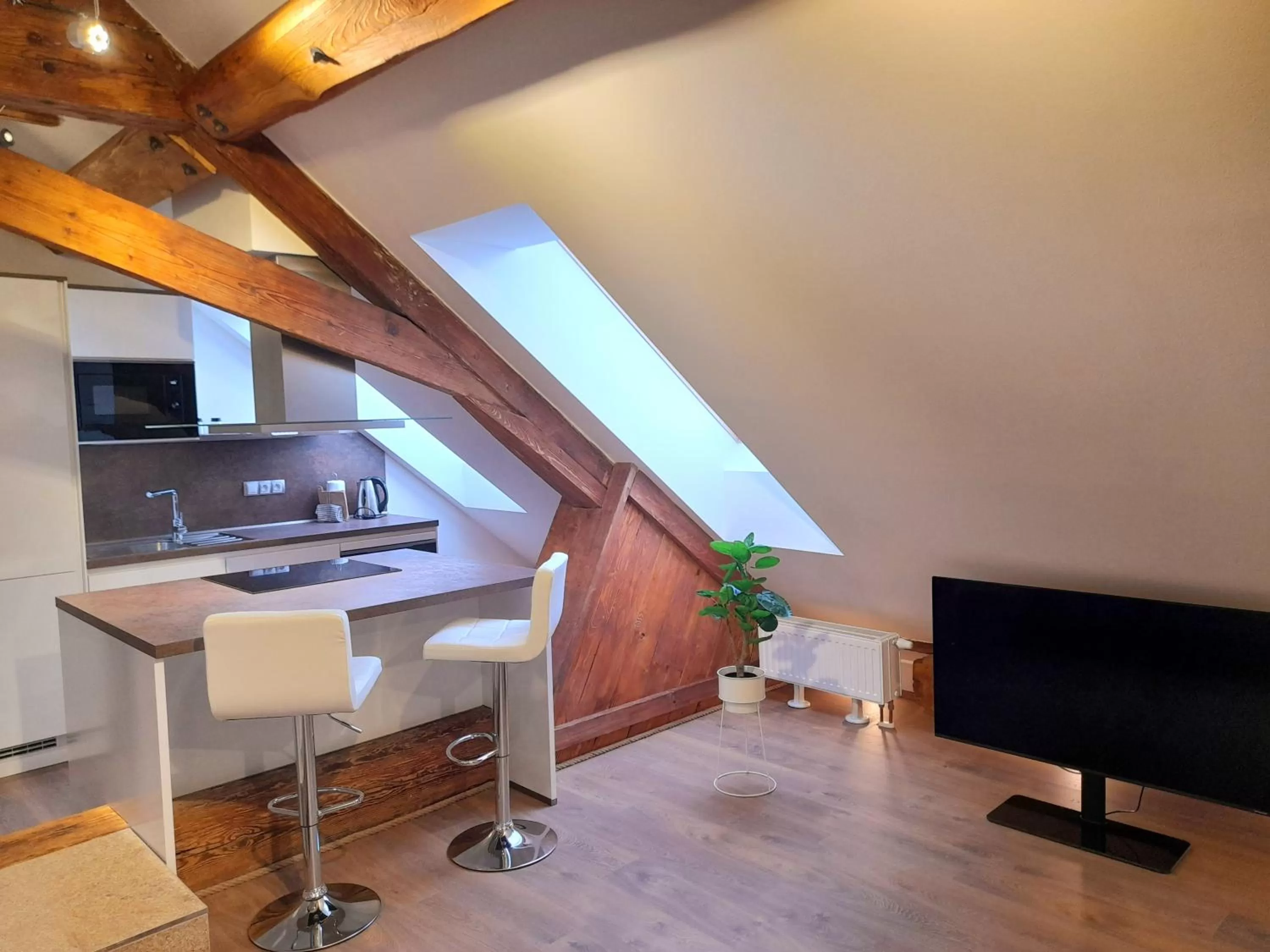 Kitchen or kitchenette in Residence Mariánská