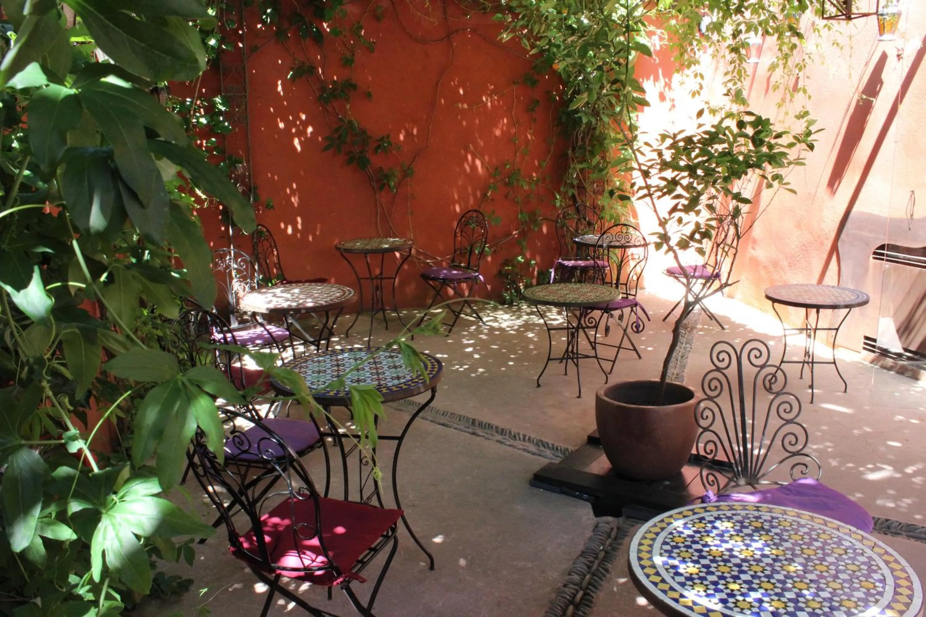 Balcony/Terrace in Hotel la Boheme