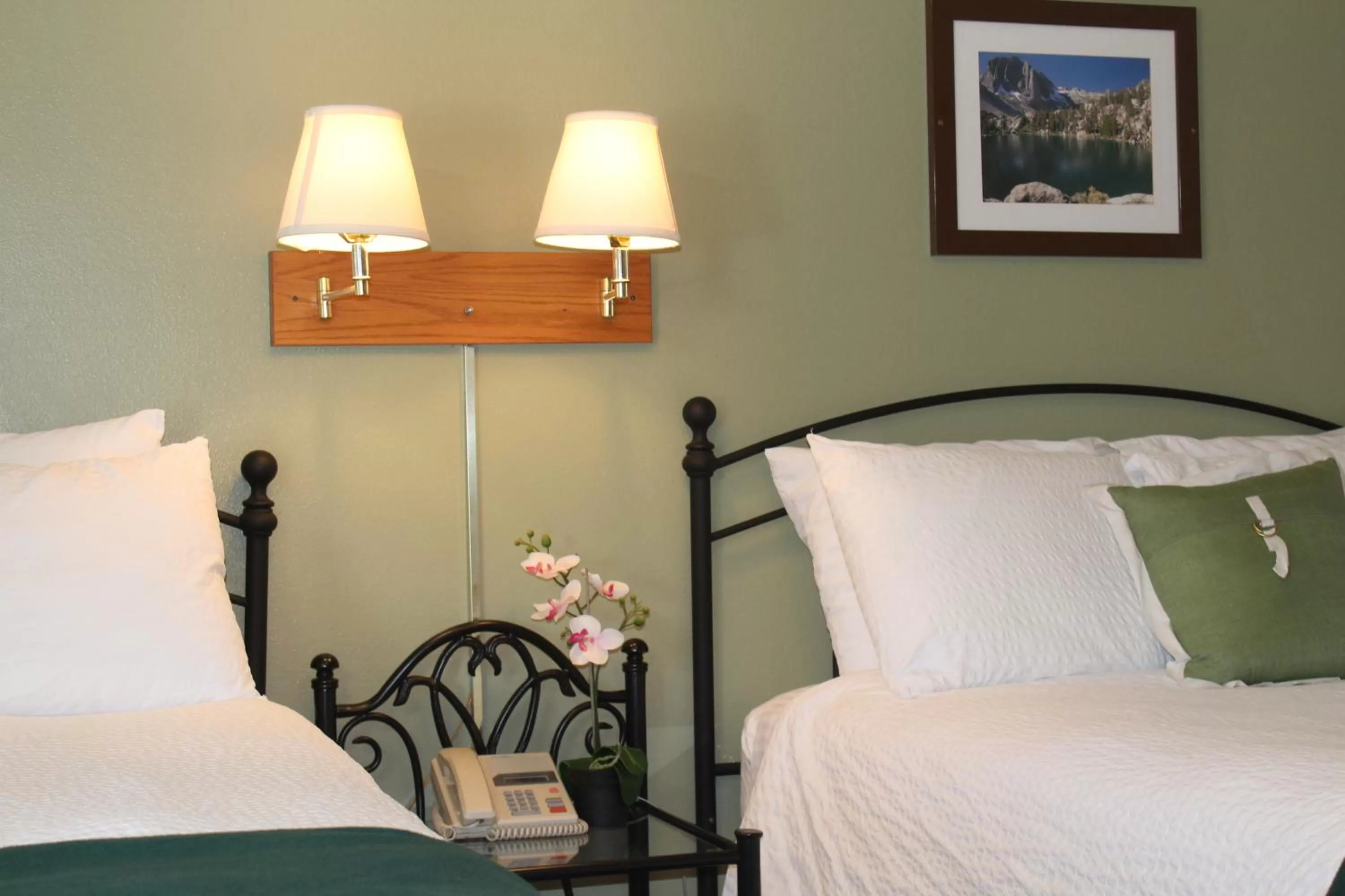 Property building in Trees Motel