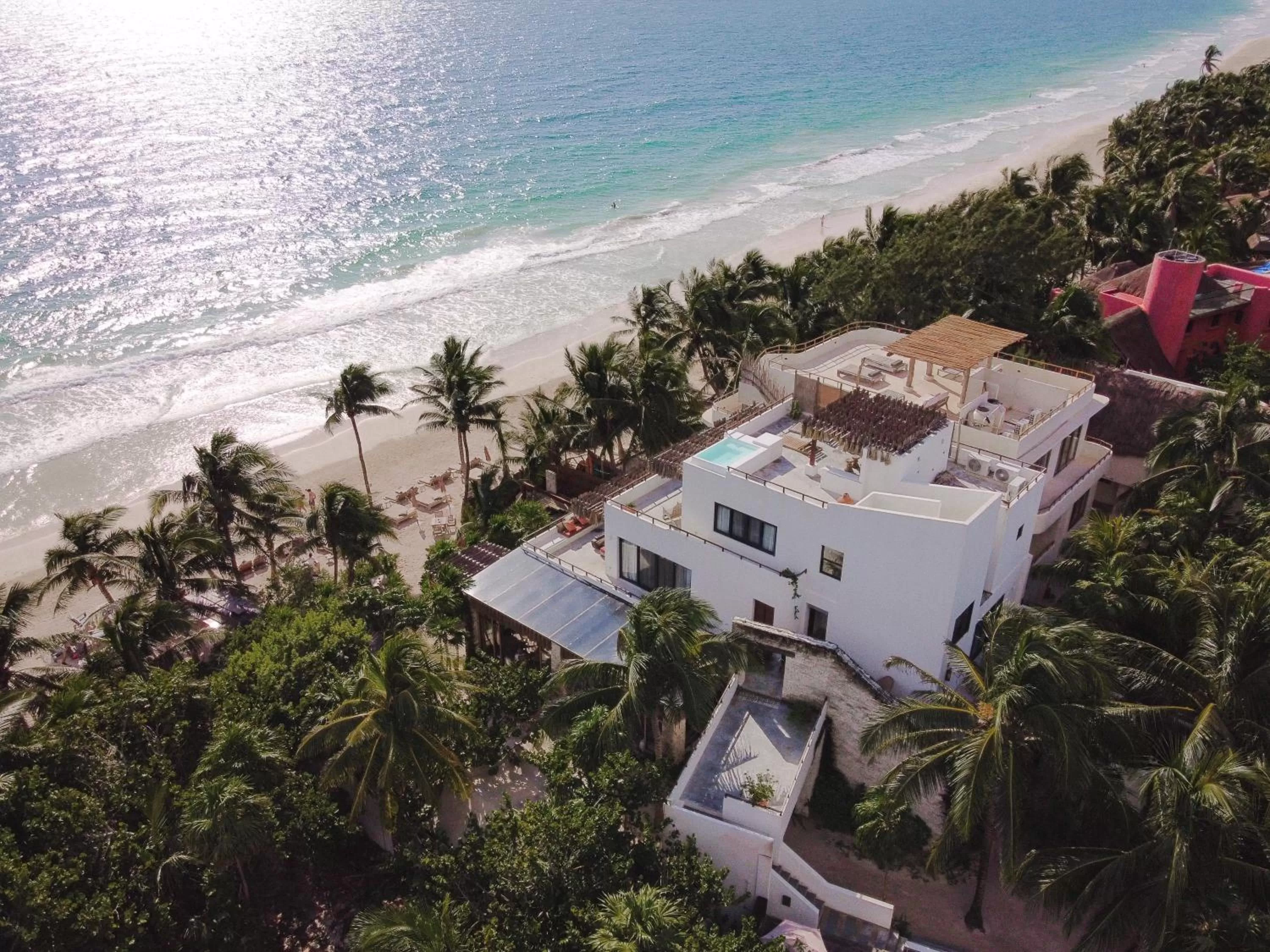 Property building in Chiringuito Tulum