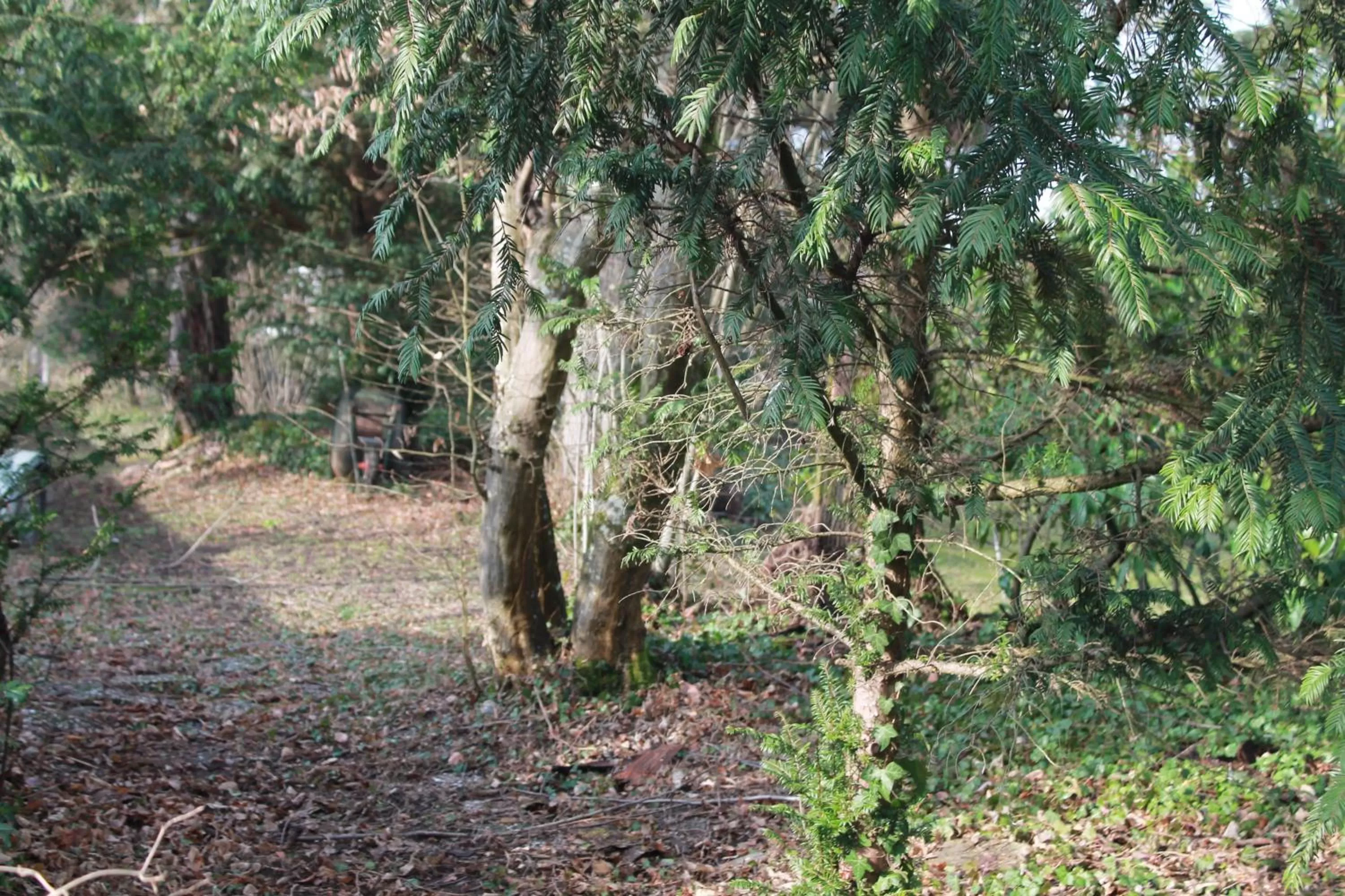 Garden, Natural Landscape in La Levriere d'Arc les Gray Chambre D'hotes
