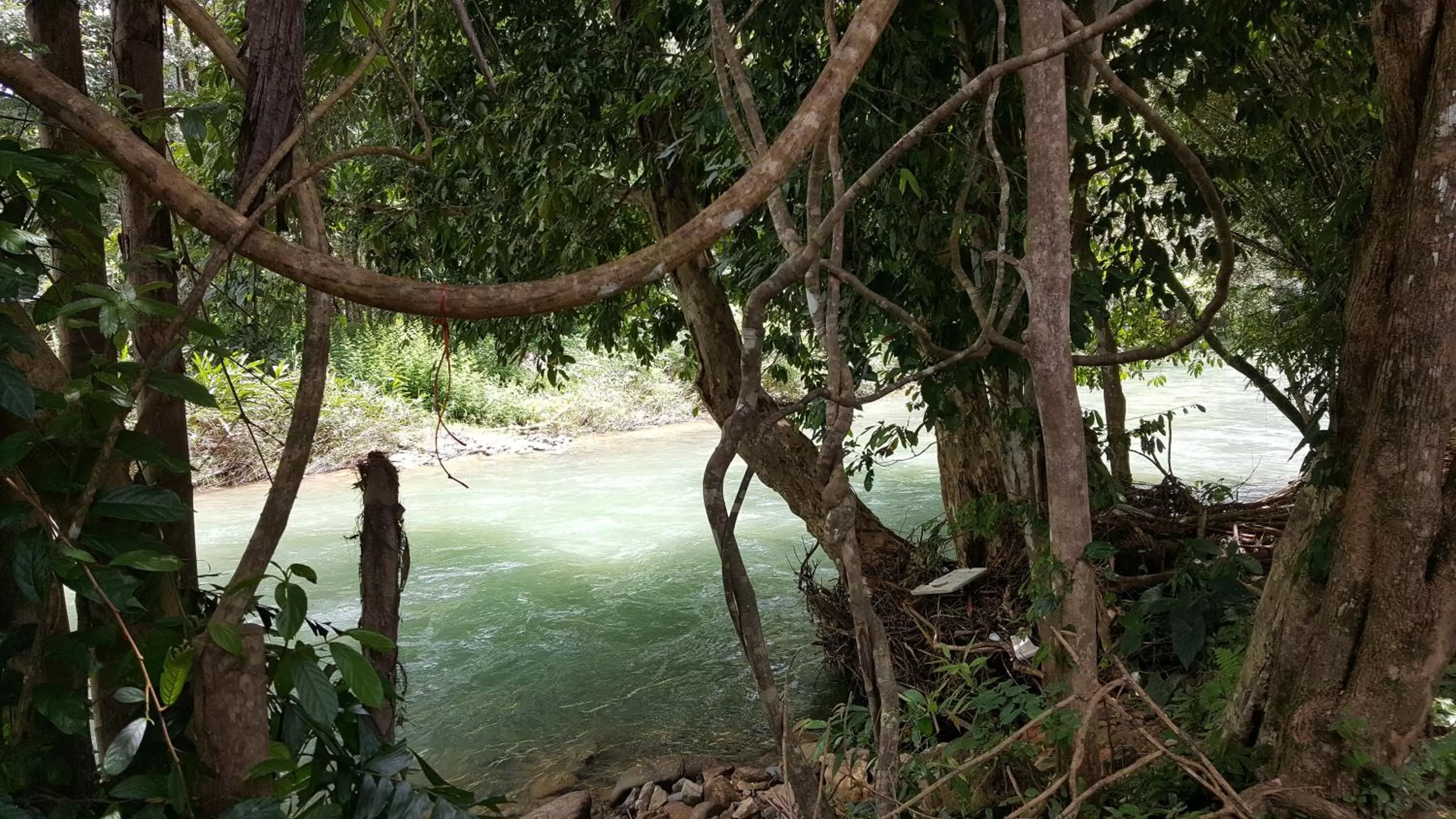 Nearby landmark in Khao Sok Jungle Huts Resort
