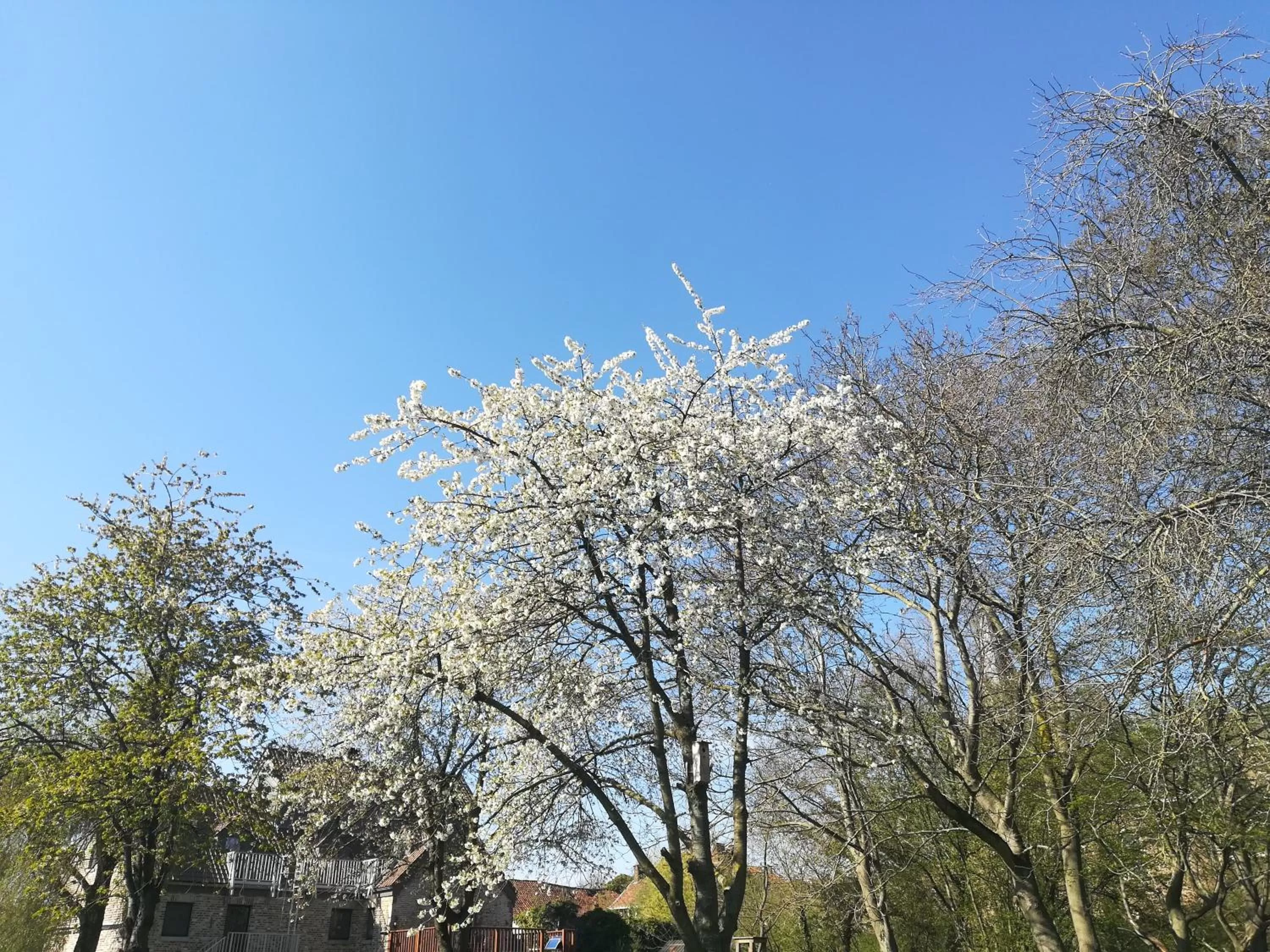 Spring in B&B De Dubbelmolen