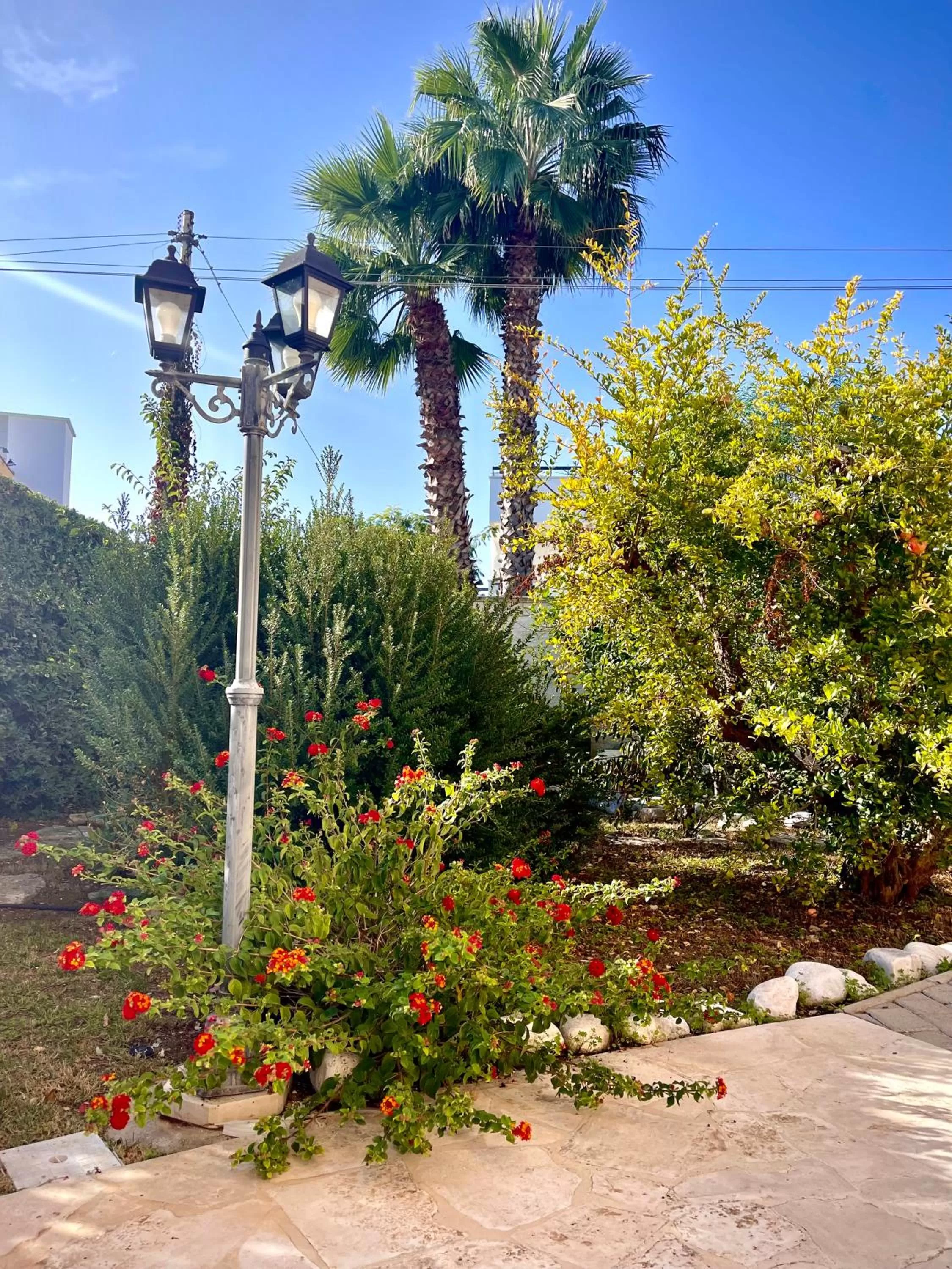 Property building, Garden in Villa Pignatelli