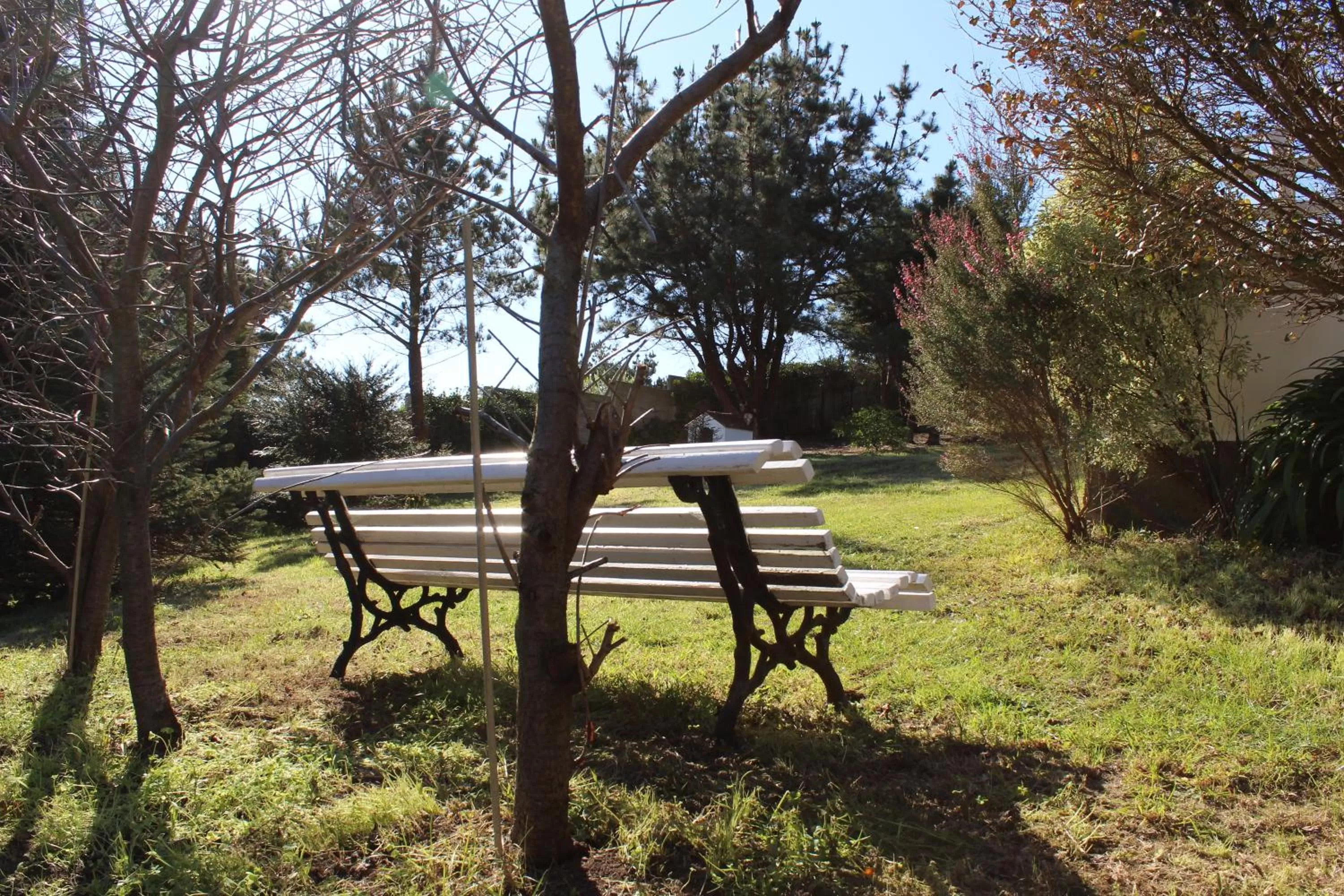 Garden in finca dos Mares