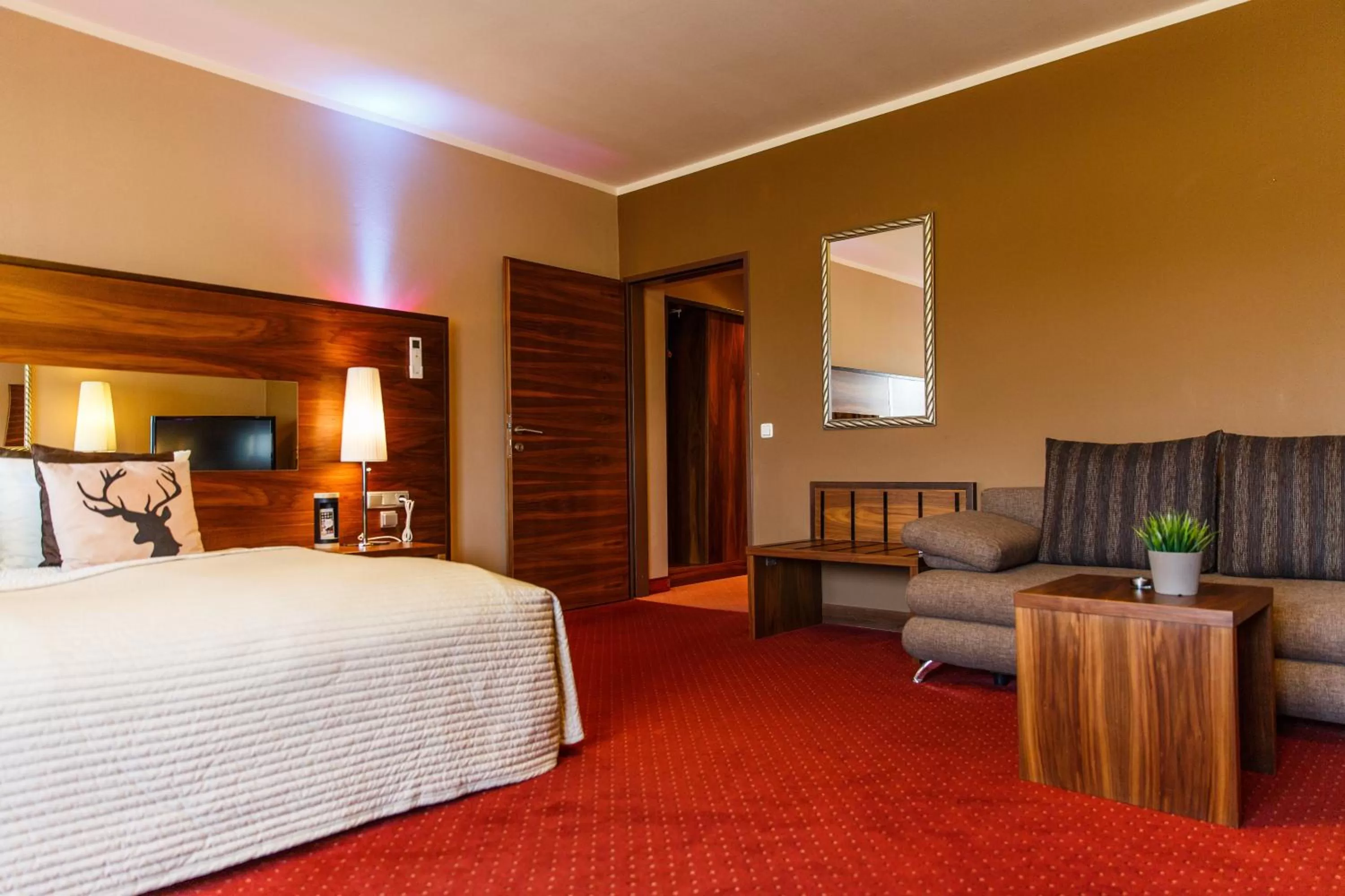 Photo of the whole room in Hotel Salzburg