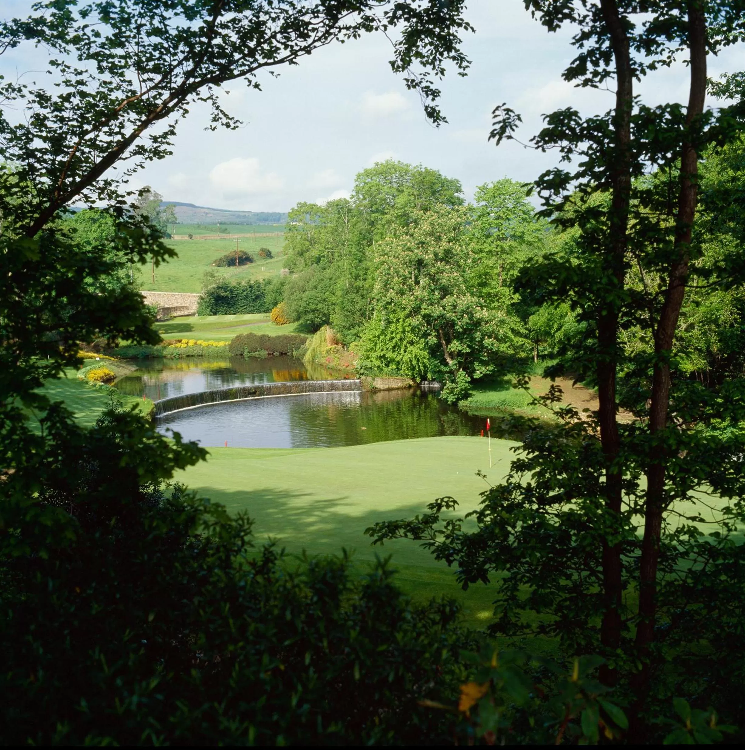 Golfcourse, Swimming Pool in Druids Glen Resort