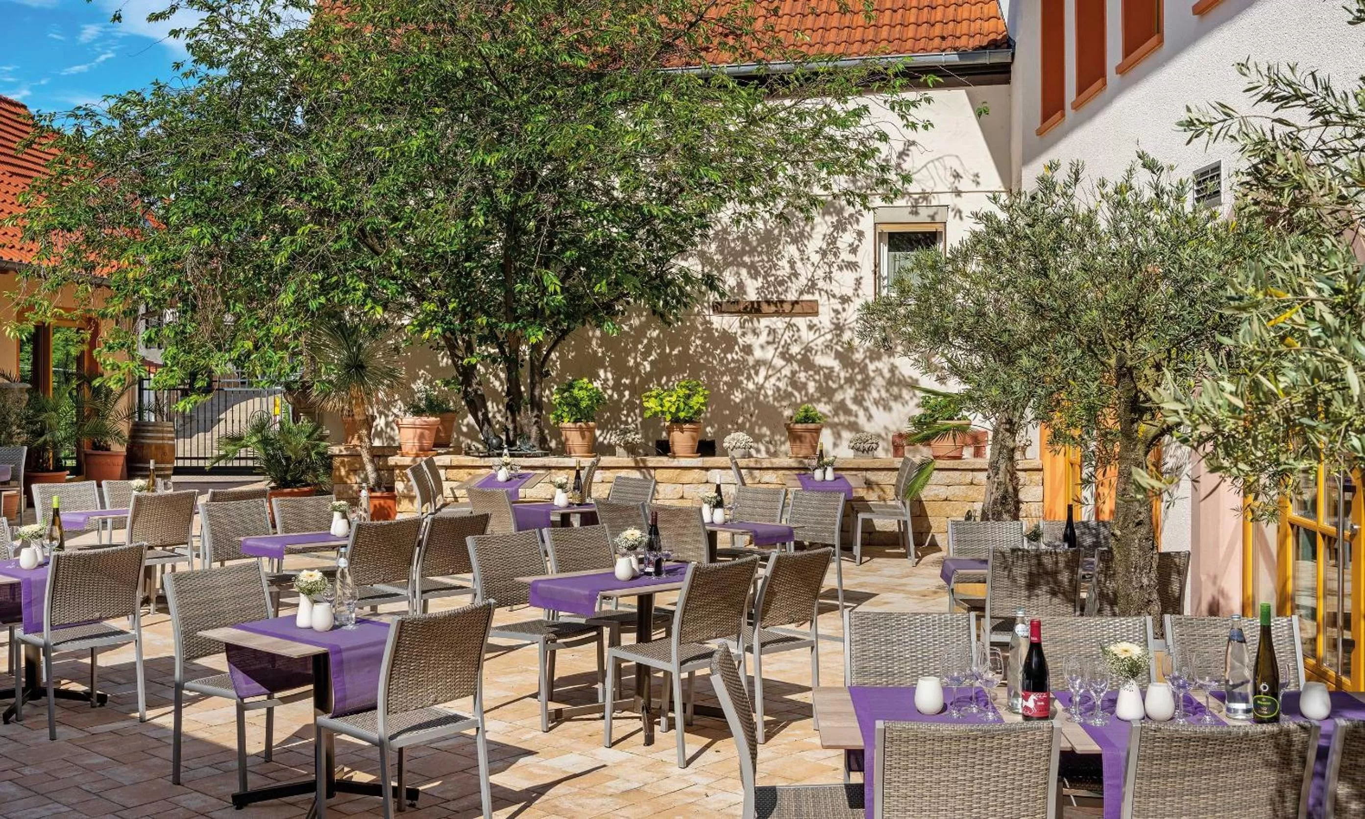 Garden view in Pfalzhotel Asselheim