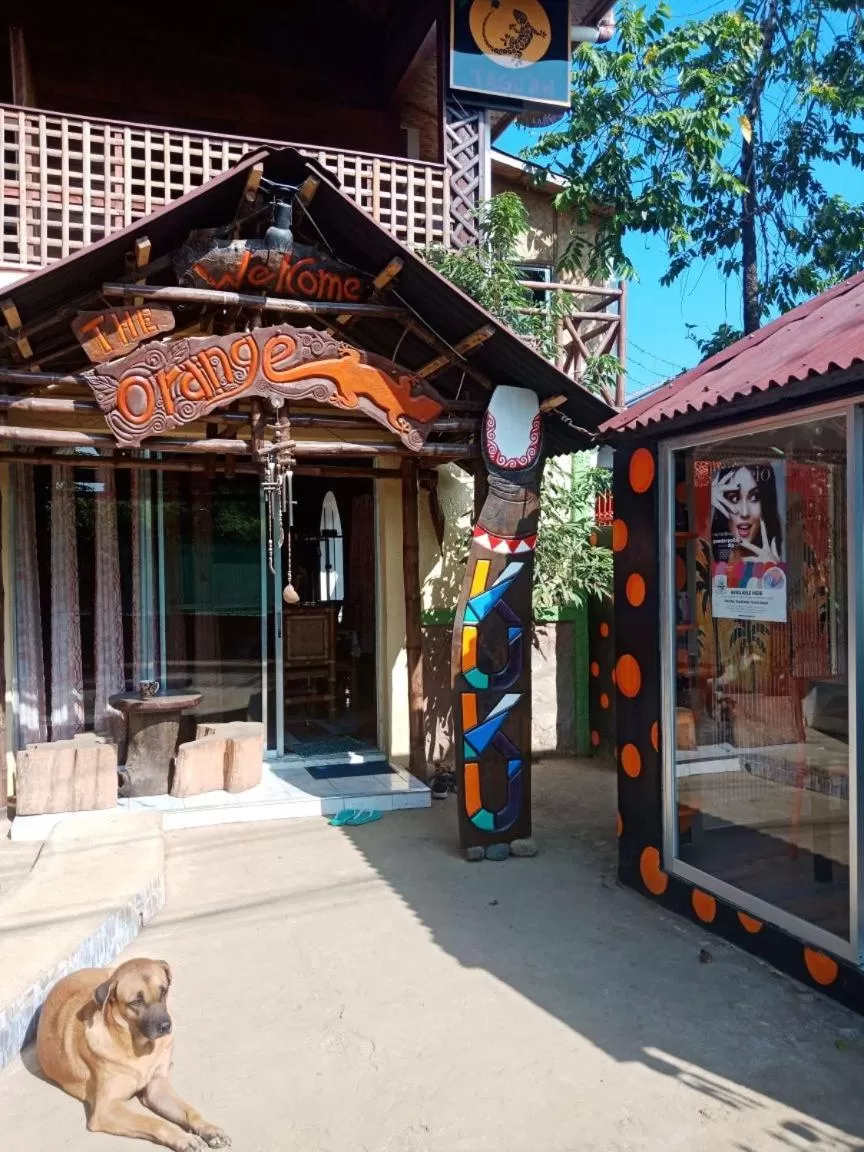 Lala Panzi Bed and Breakfast