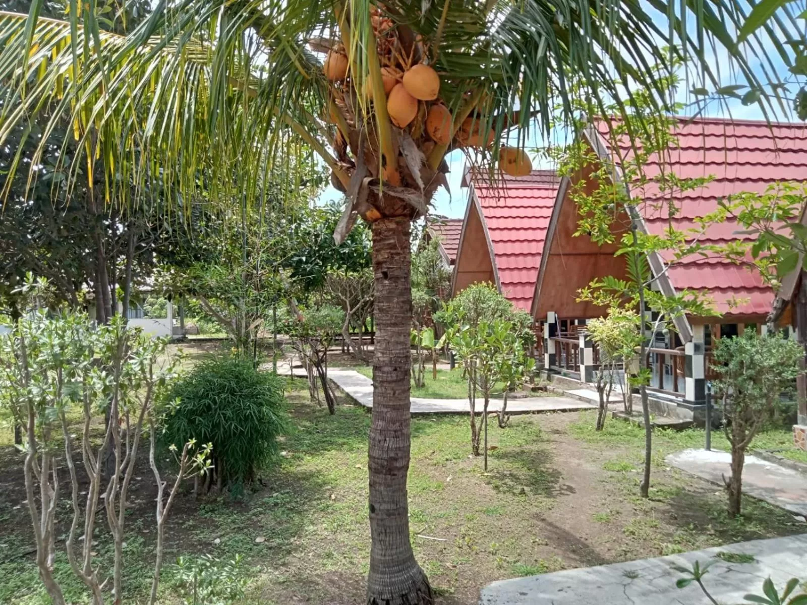 Garden view in Meno Smile Cottages