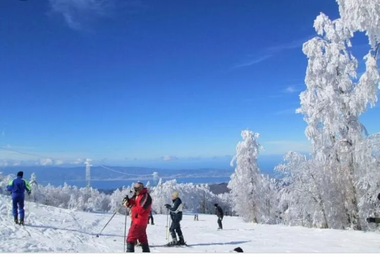 Green Park Hotel & Residence