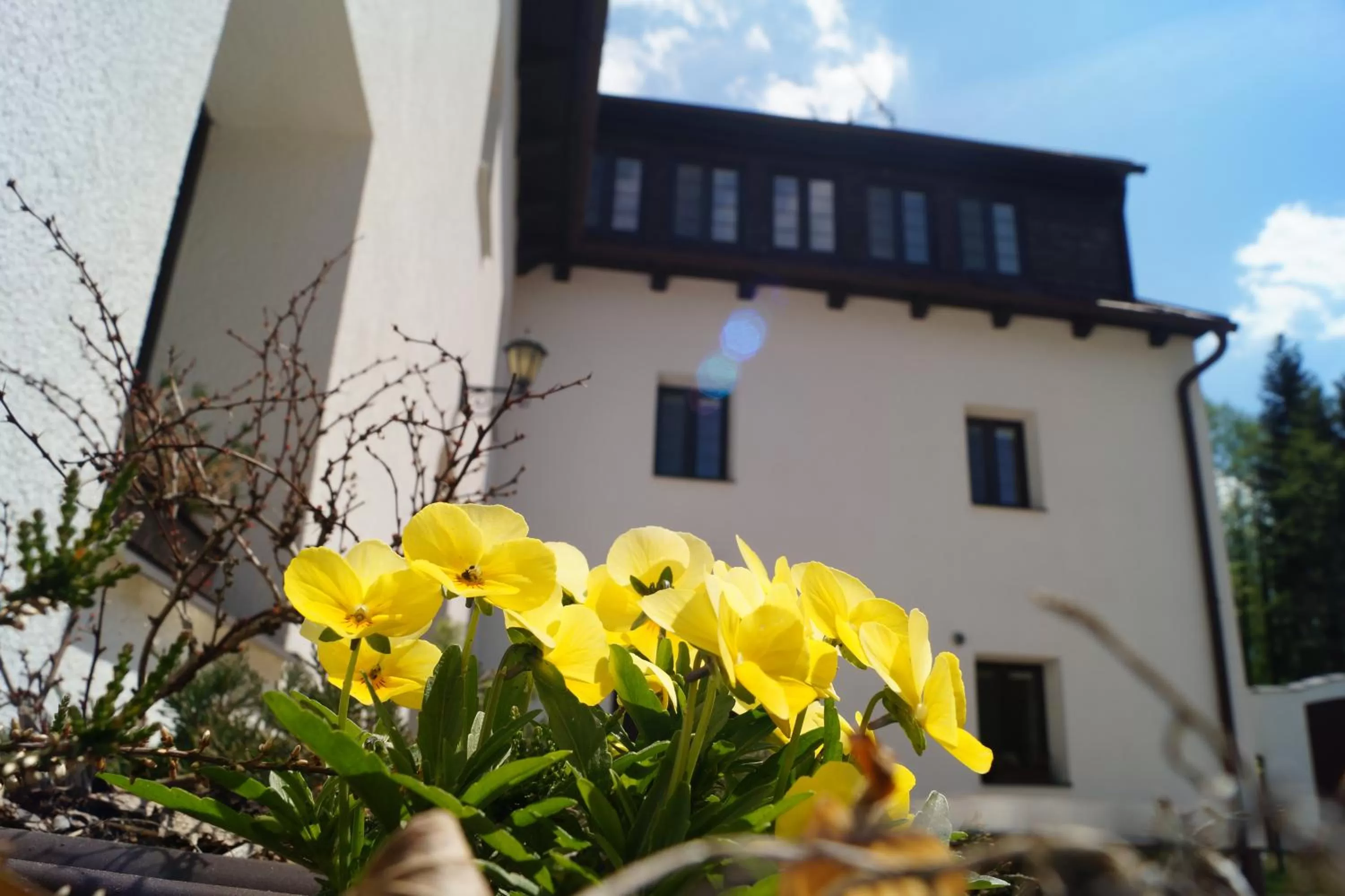 Facade/entrance in Hotel a Hostinec Tálský mlýn