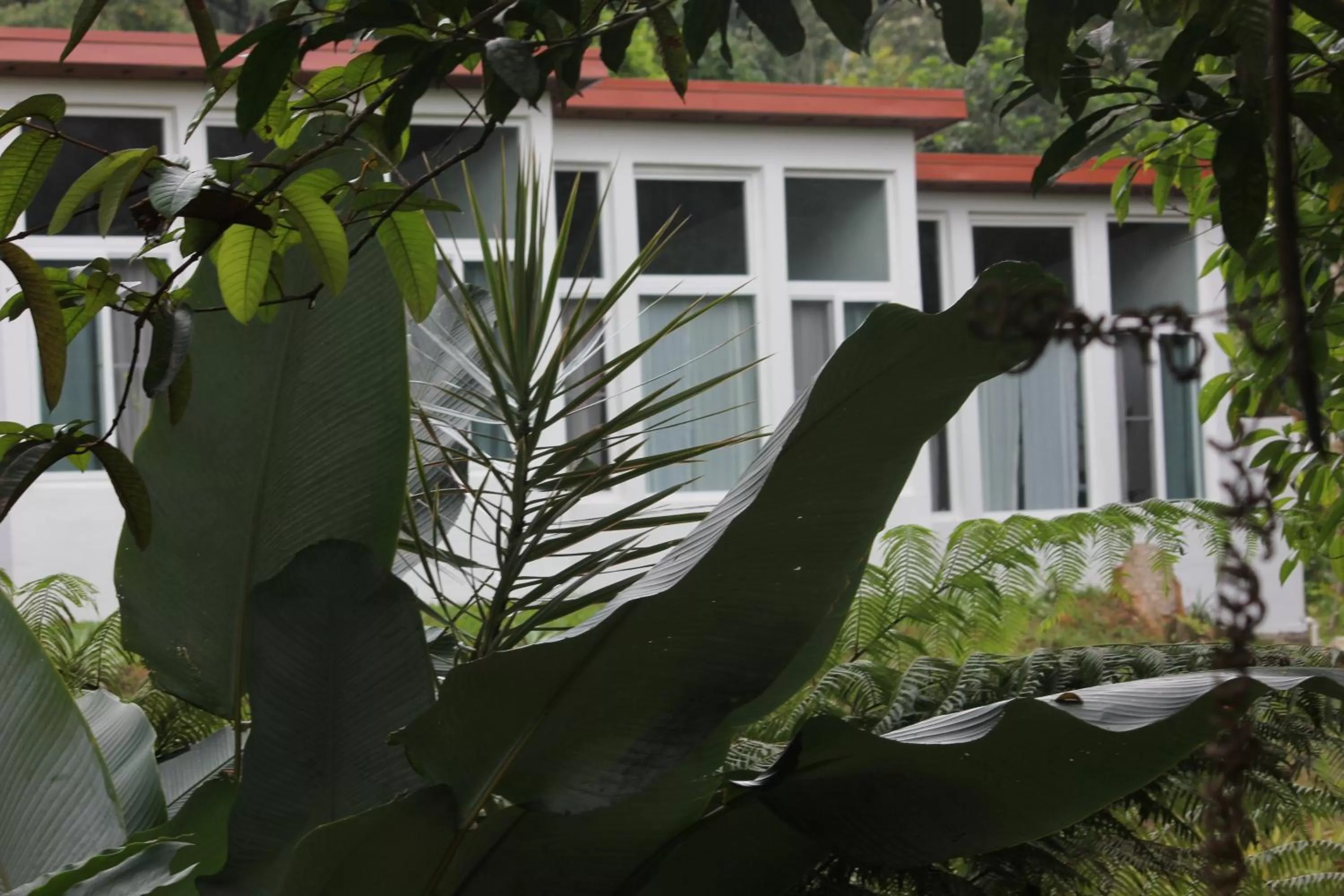 Garden in Sattva Land