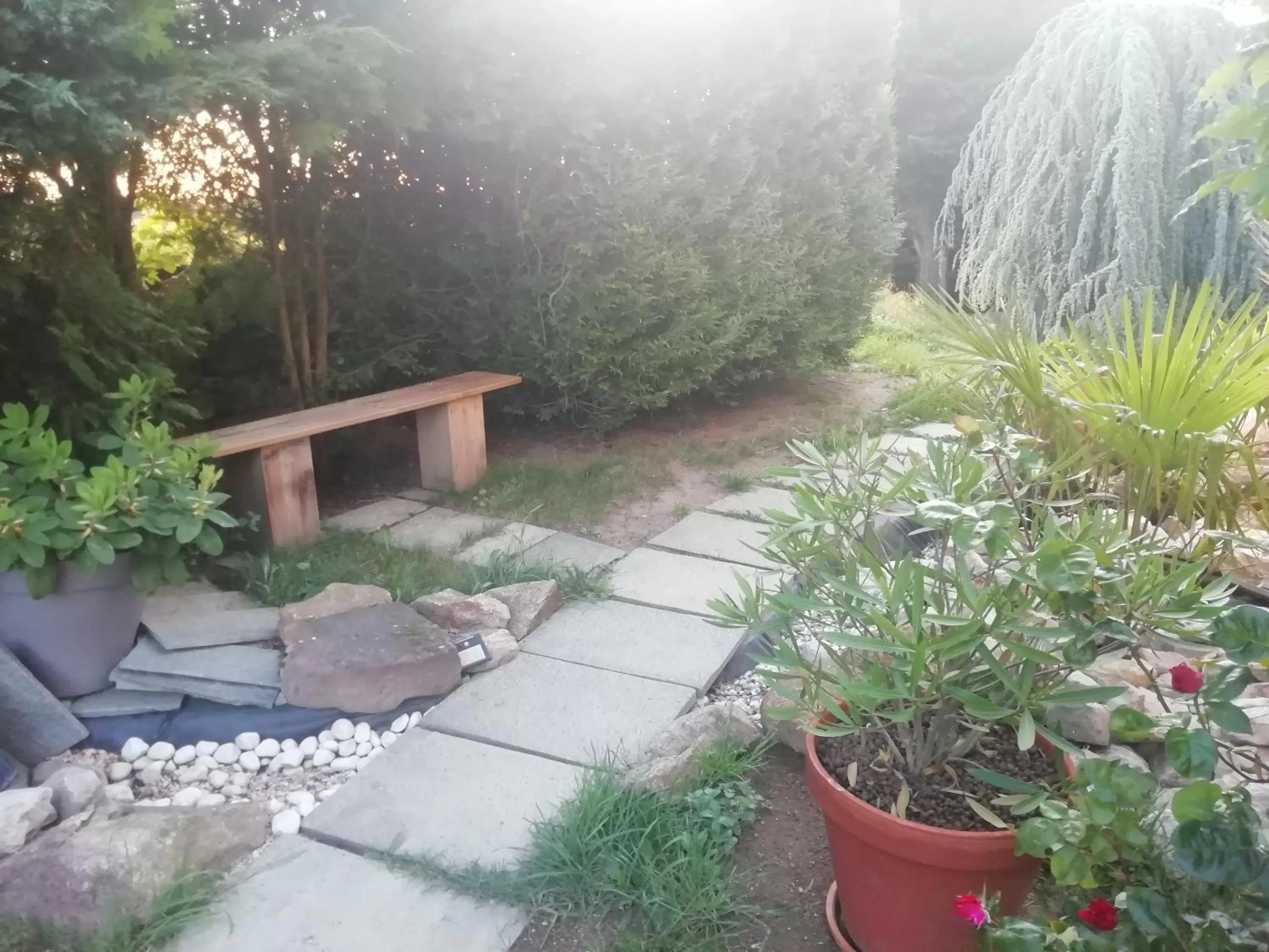 Patio in Chez Sophie et Gilles