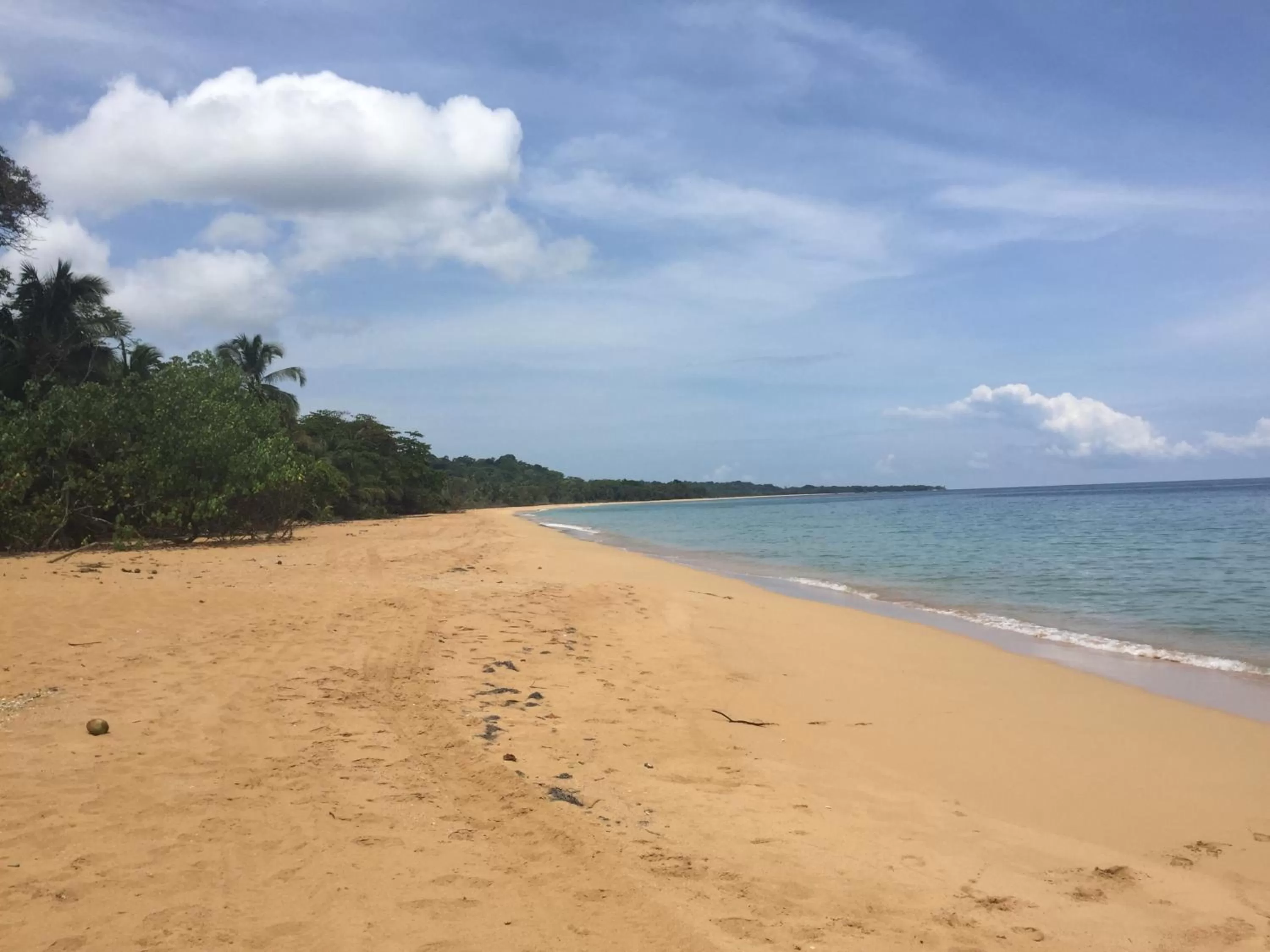 Day in The Hummingbird