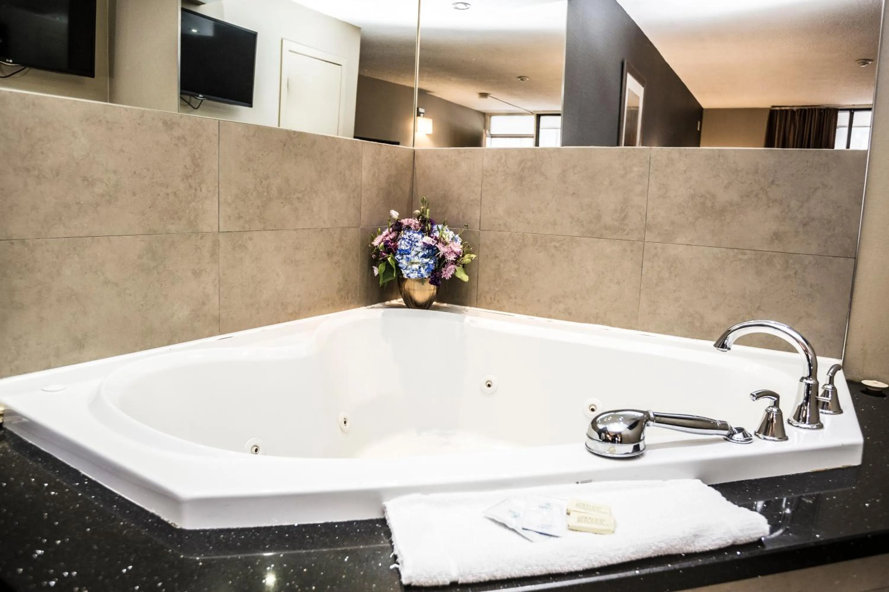 Bathroom in Mississauga Gate Inn