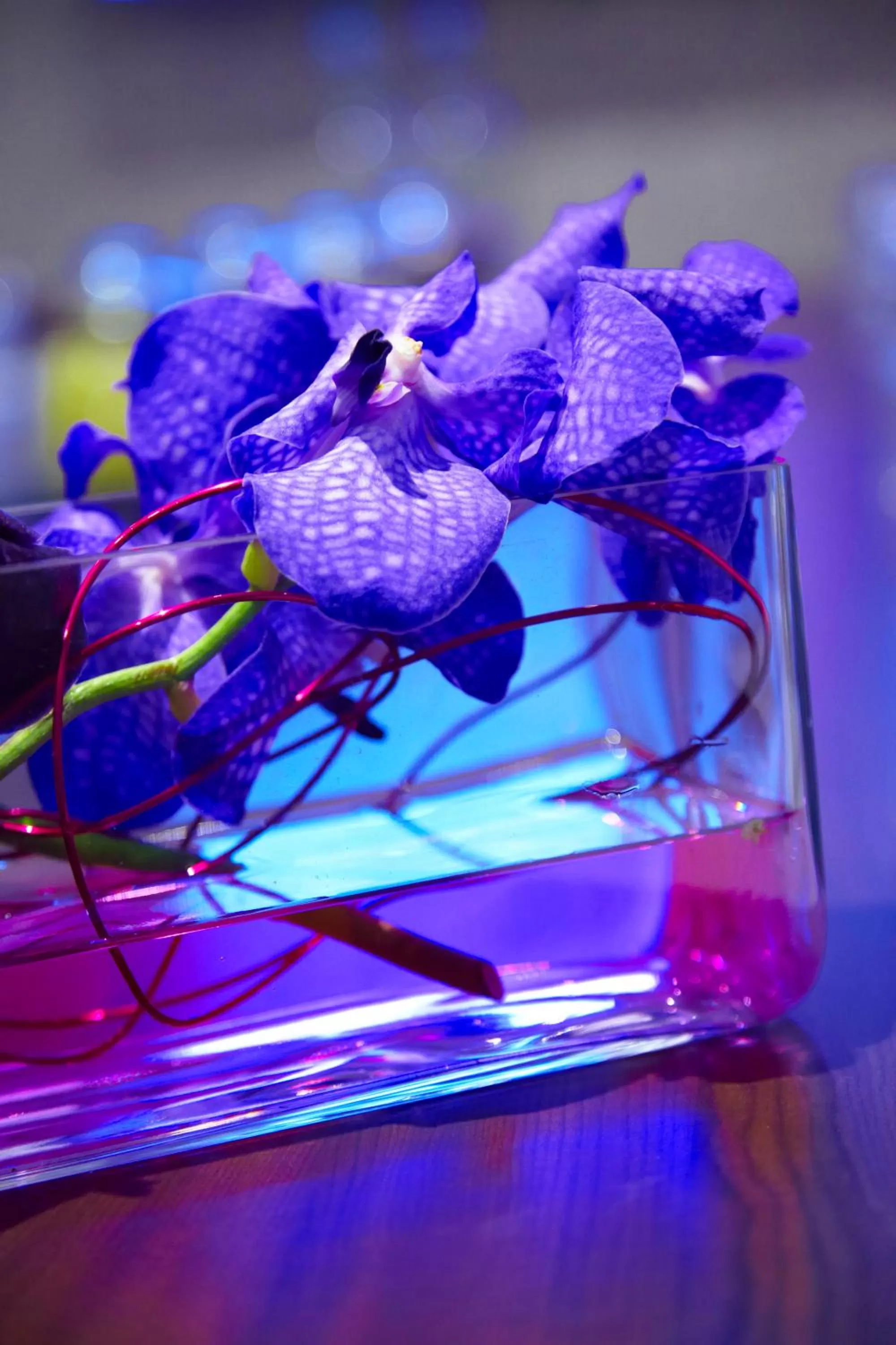 Meeting/conference room in Malmaison London