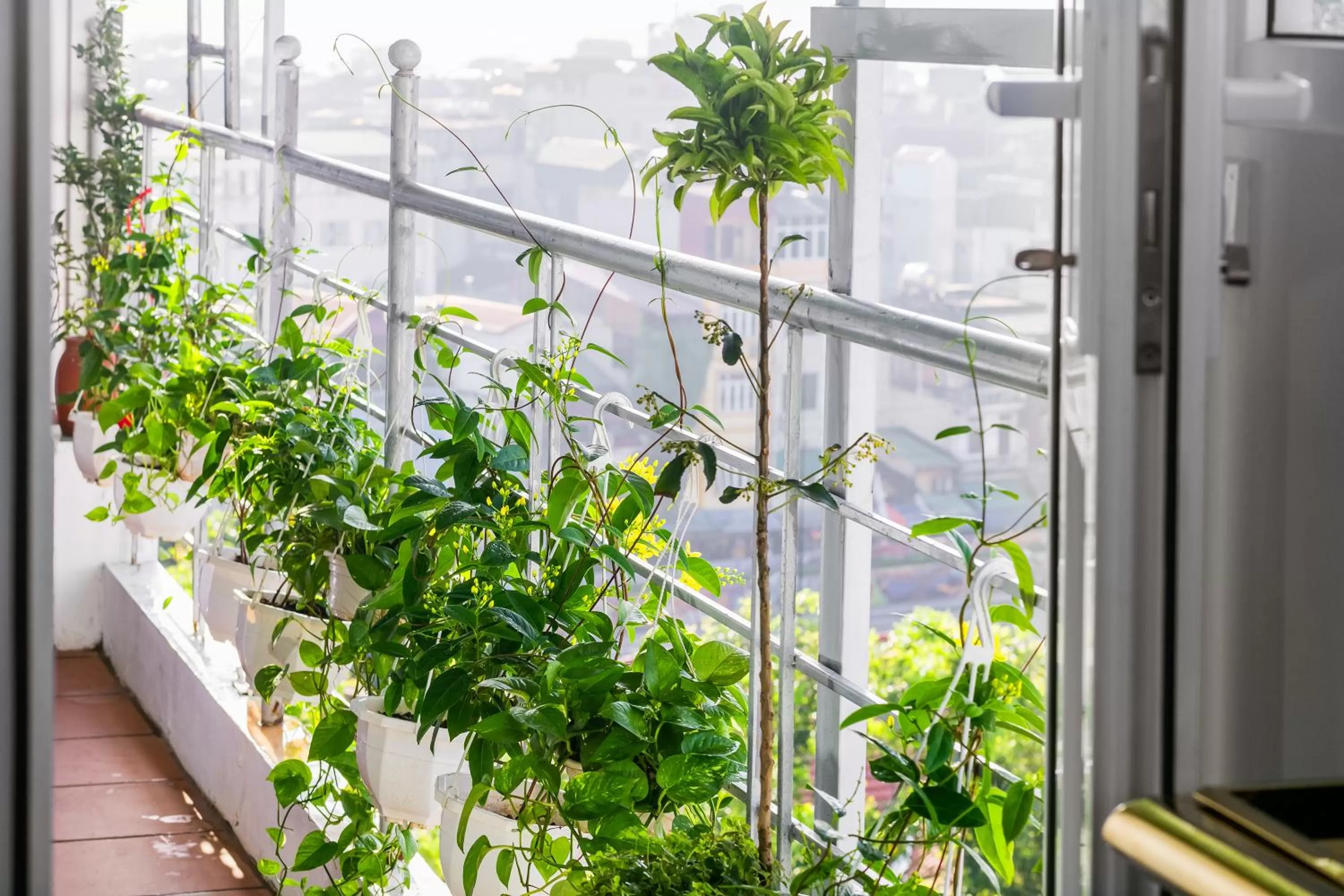 Restaurant/places to eat in Hanoi Stella Hotel