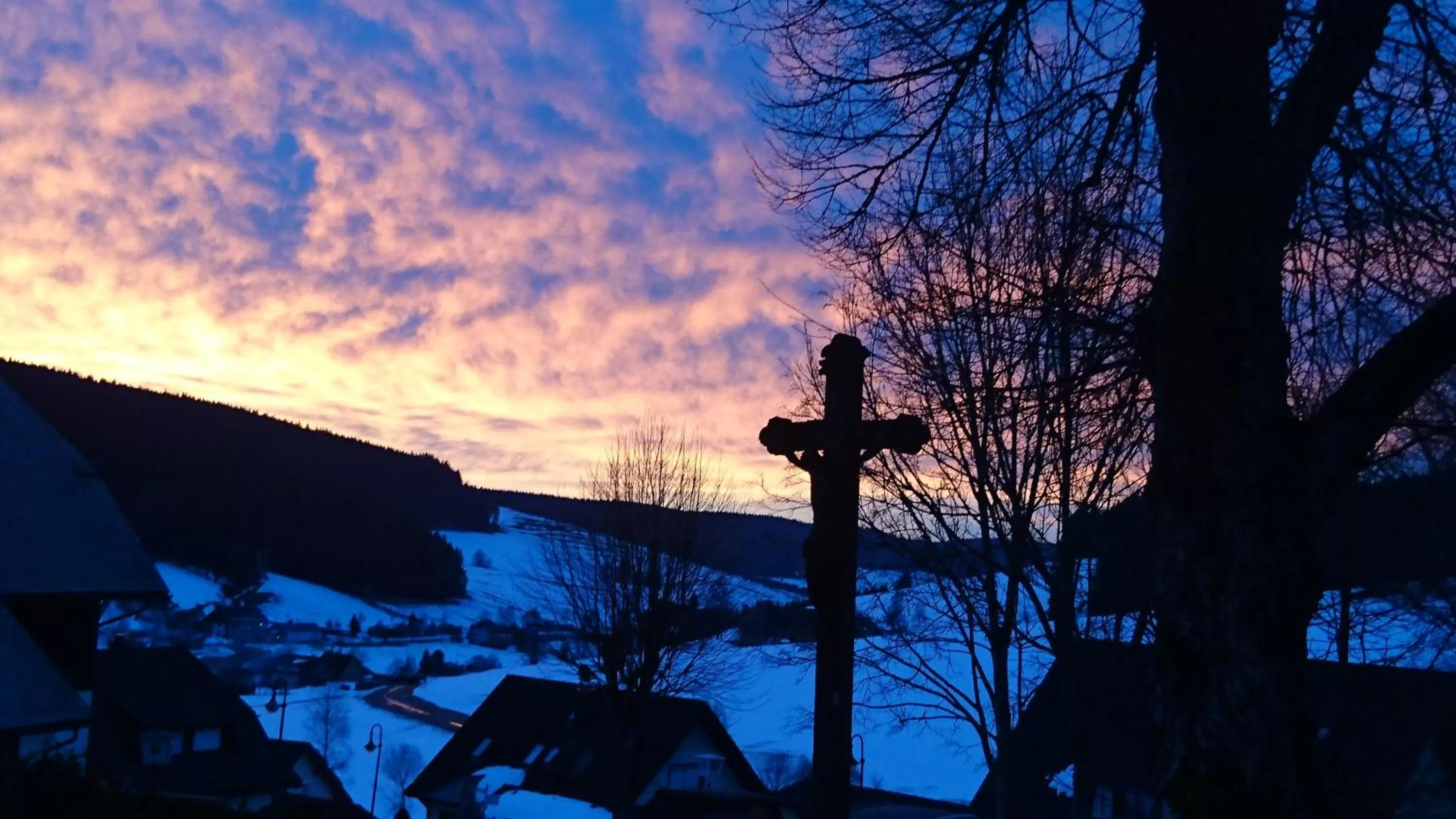Natural landscape in ZUR TRAUBE Schwarzwaldhotel & Restaurant am Titisee