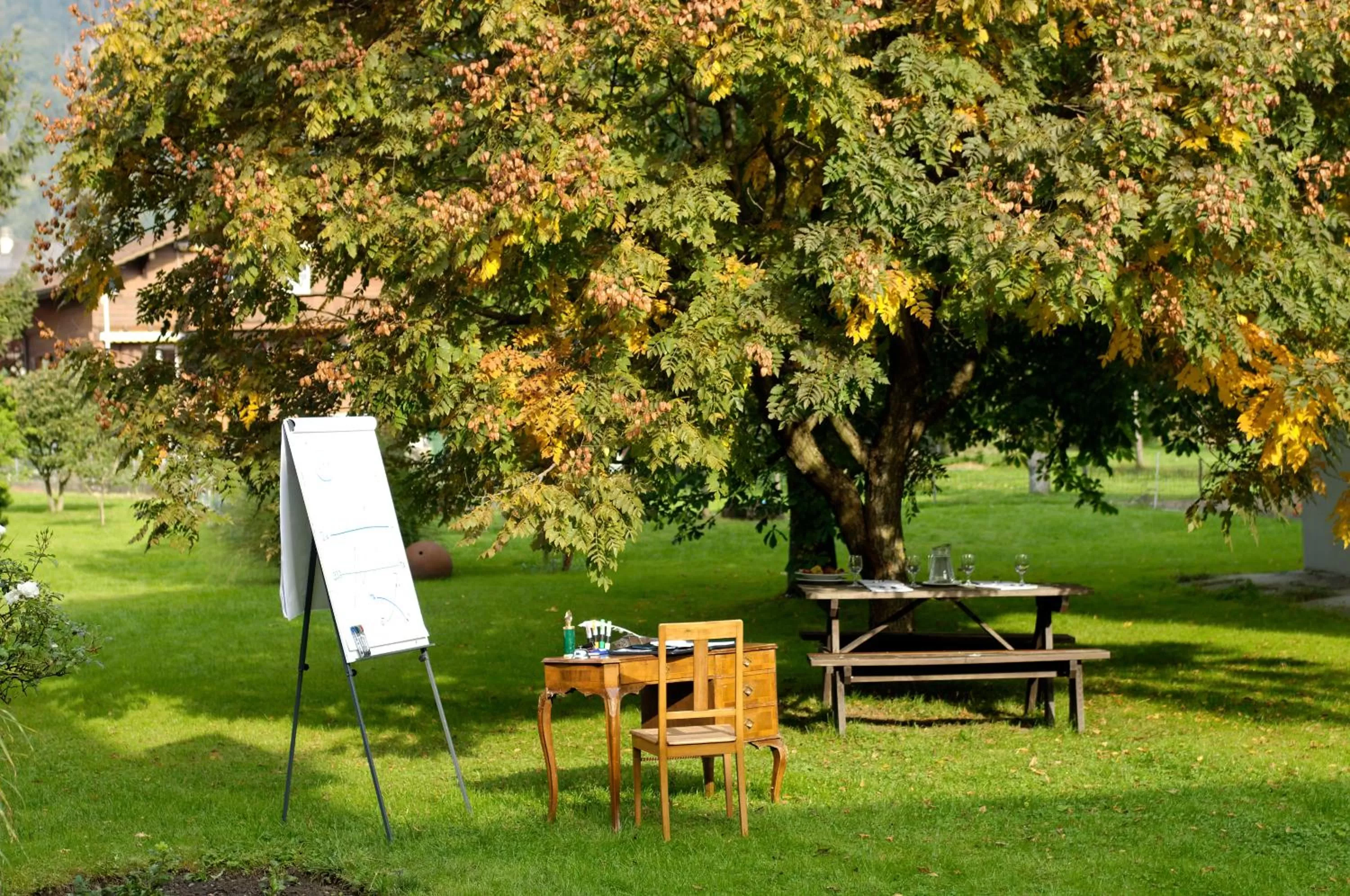 Garden in Hotel Beausite