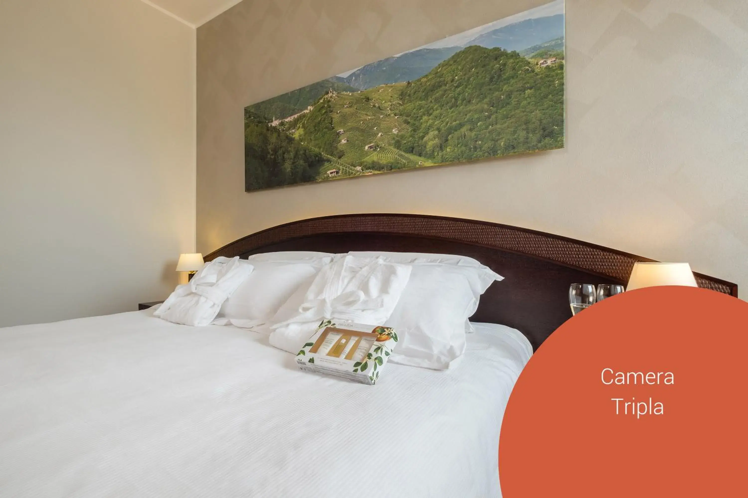 Triple Room in Wine Hotel San Giacomo Activity & Wellness Triple Room in Wine Hotel San Giacomo Activity & Wellness