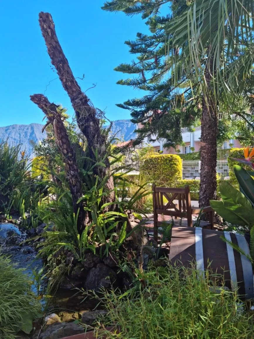 Garden in Hotel Des Neiges