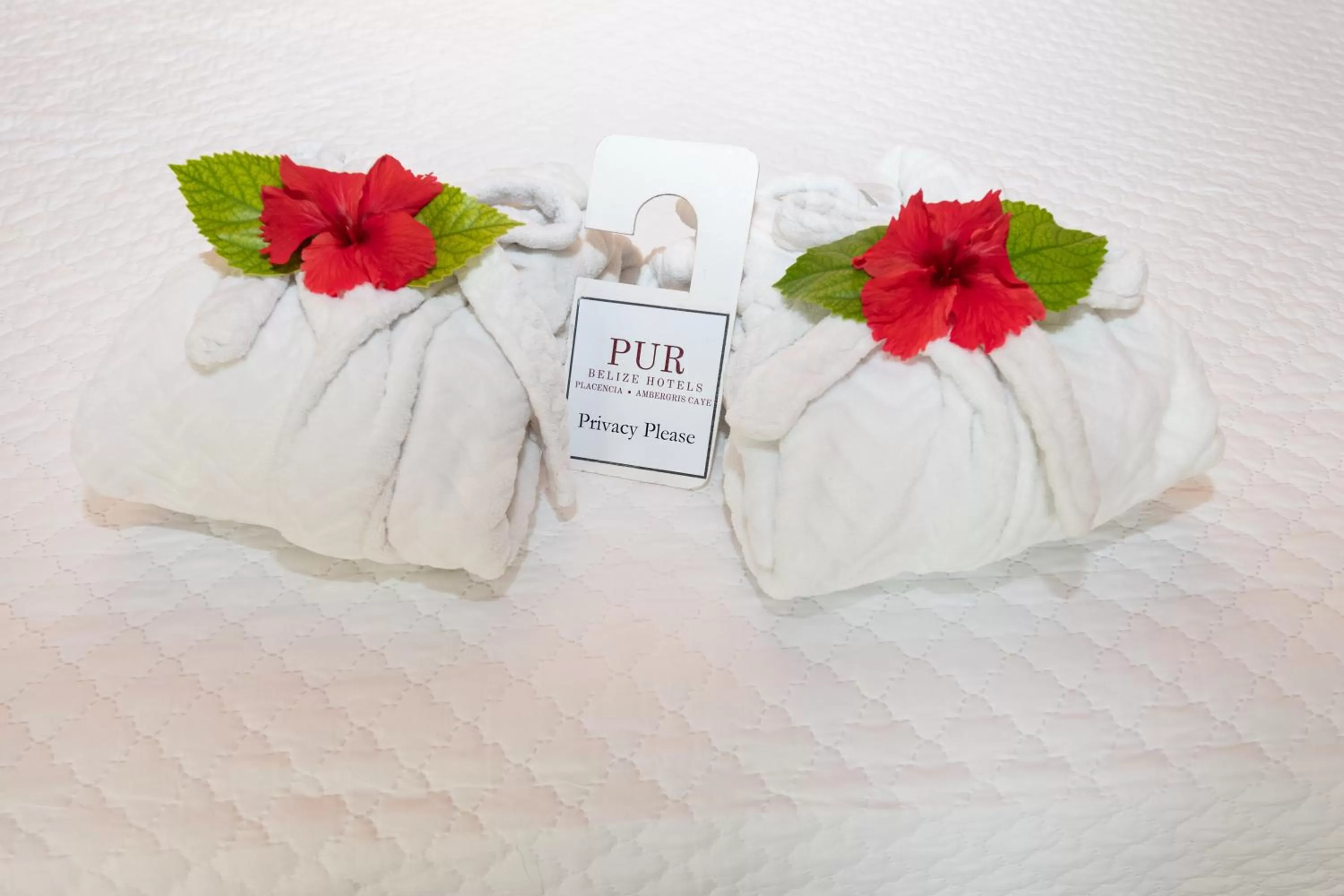 Bed in PUR Boutique Cabanas, Adults Only