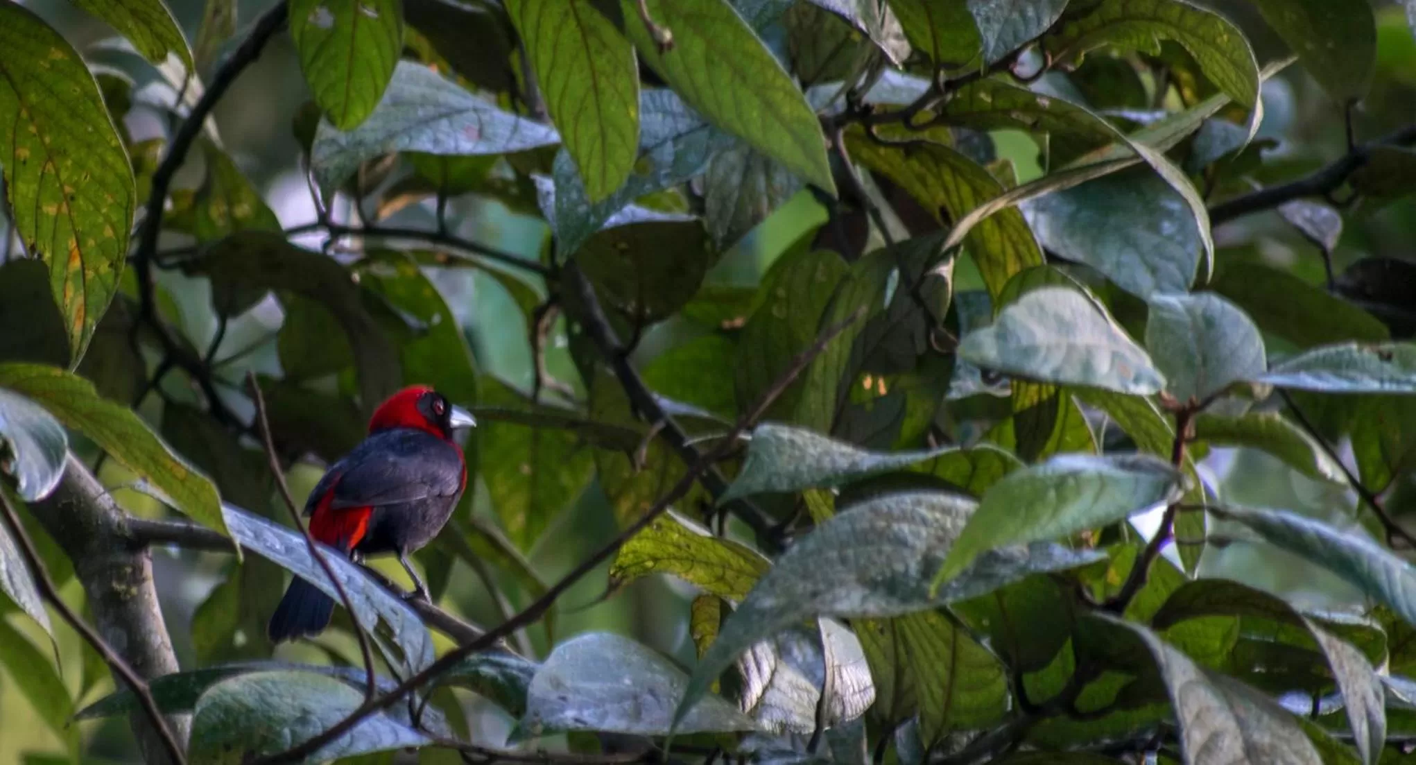 Bird's eye view in Hotel Kokoro Mineral Hot Springs