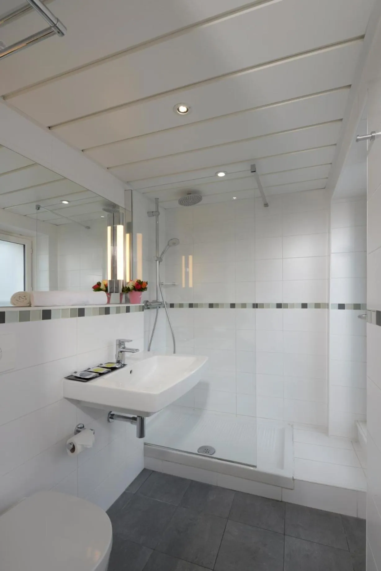 Shower in Hôtel Le Relais Saint Charles