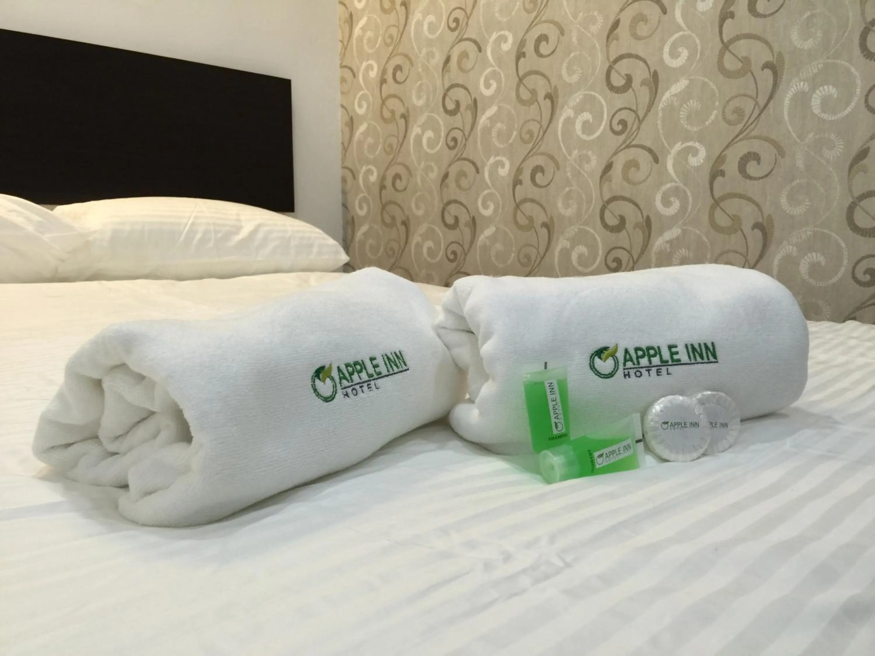 Shower in Apple Inn Hotel