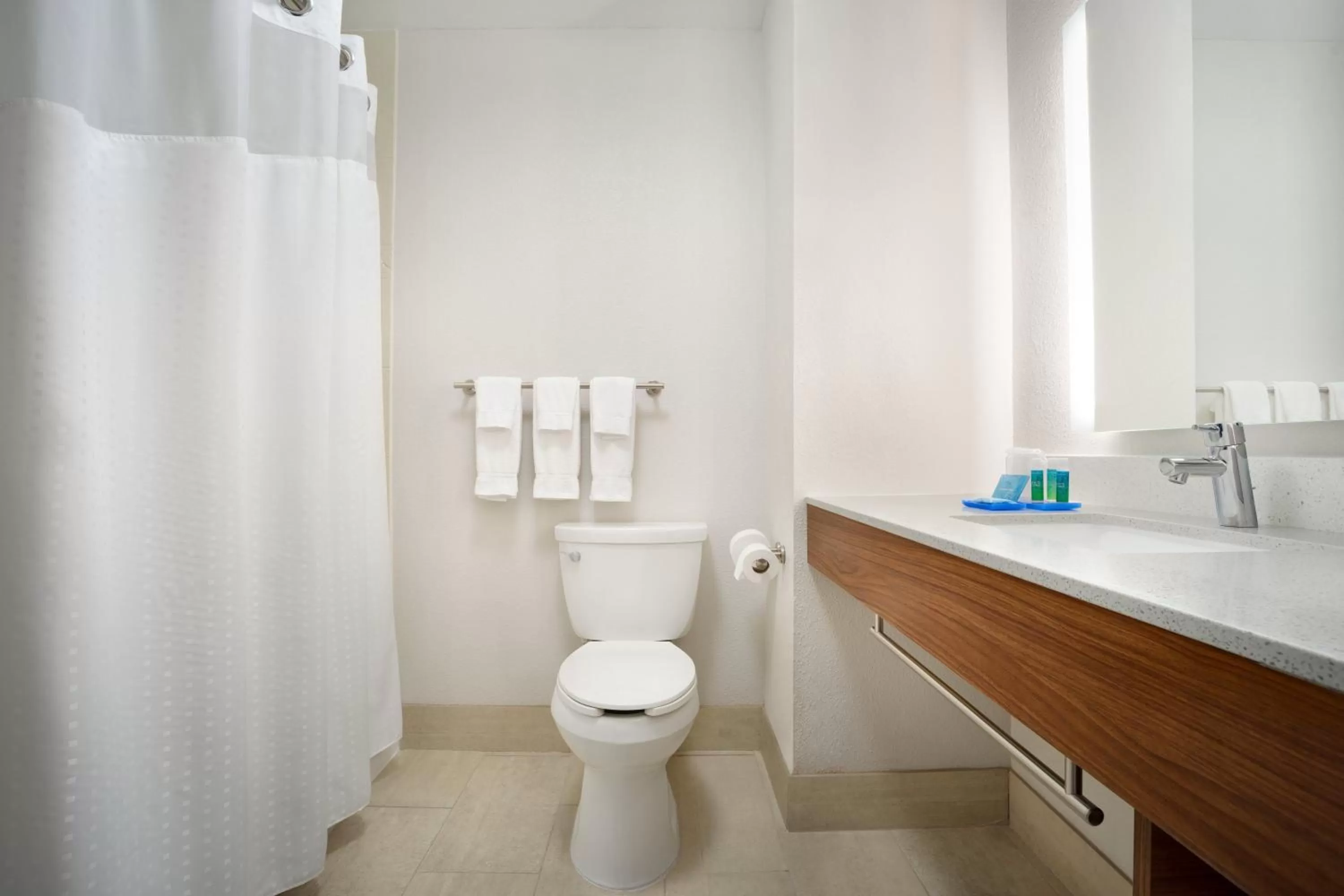 Bathroom in Holiday Inn Express Hotel & Suites Dallas NE - Allen by IHG