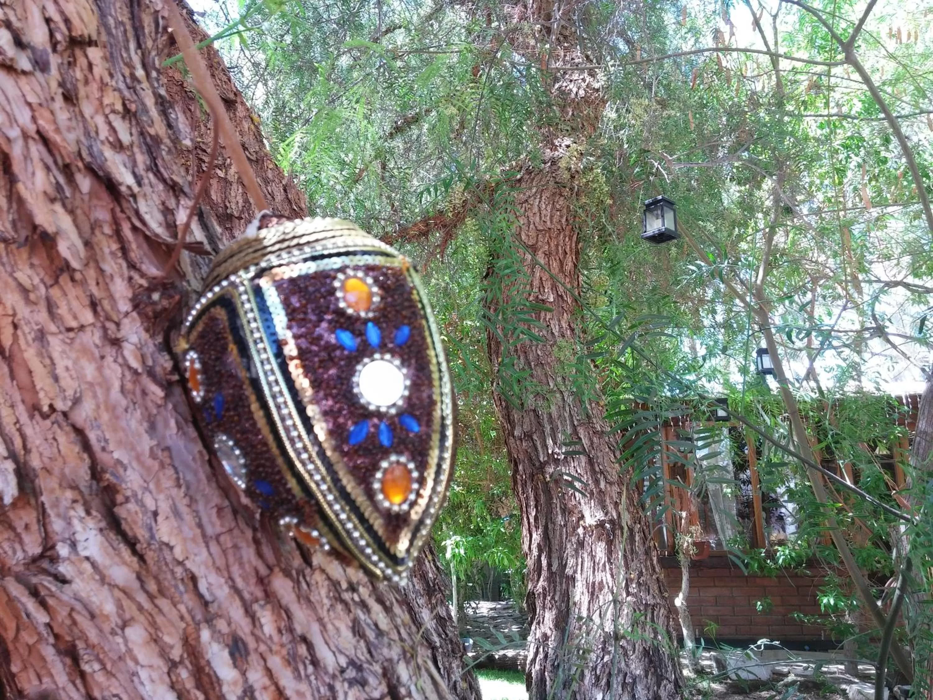 Garden, Other Animals in Atankalama