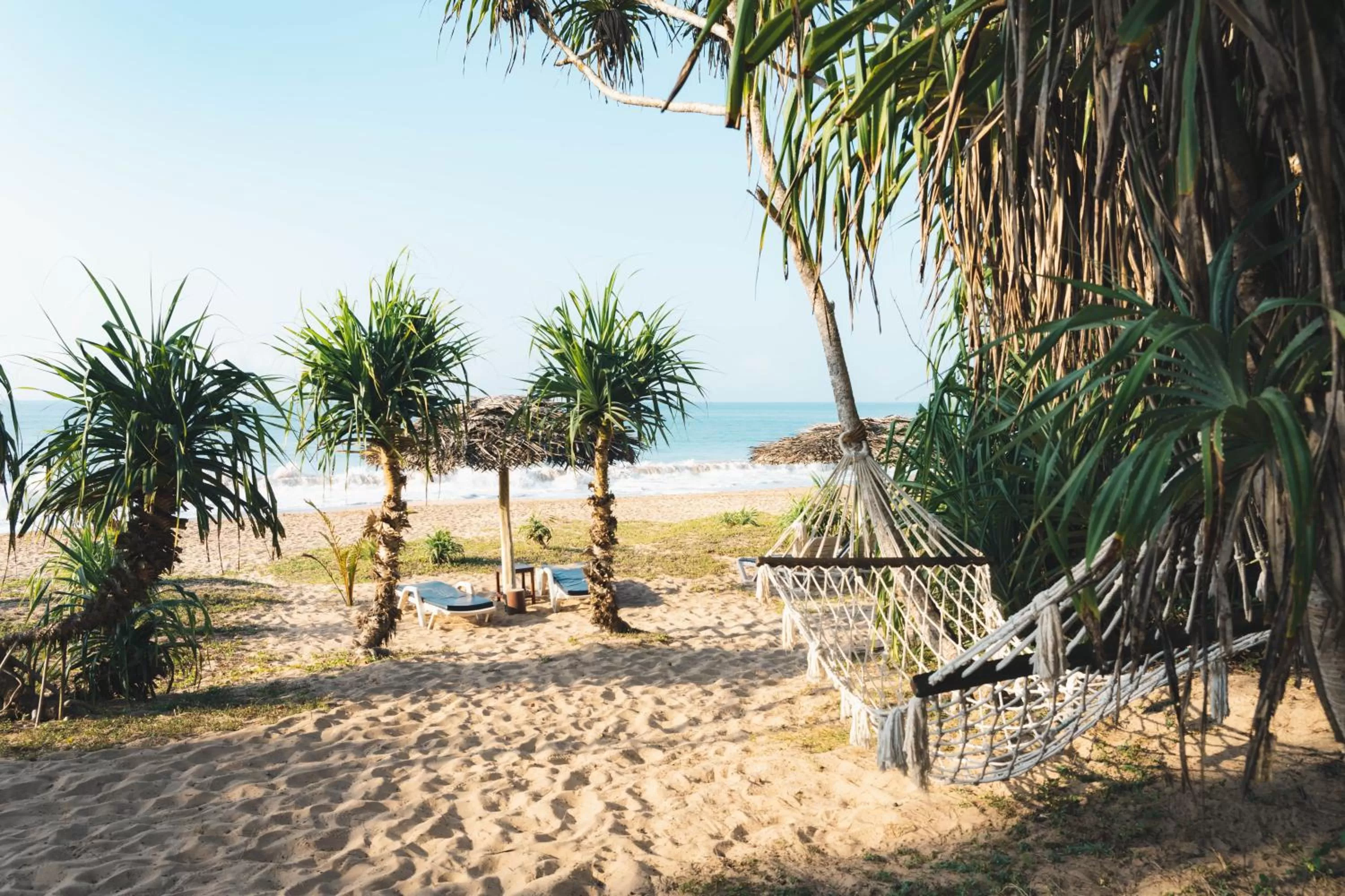 Beach in Ananya Beach Resort